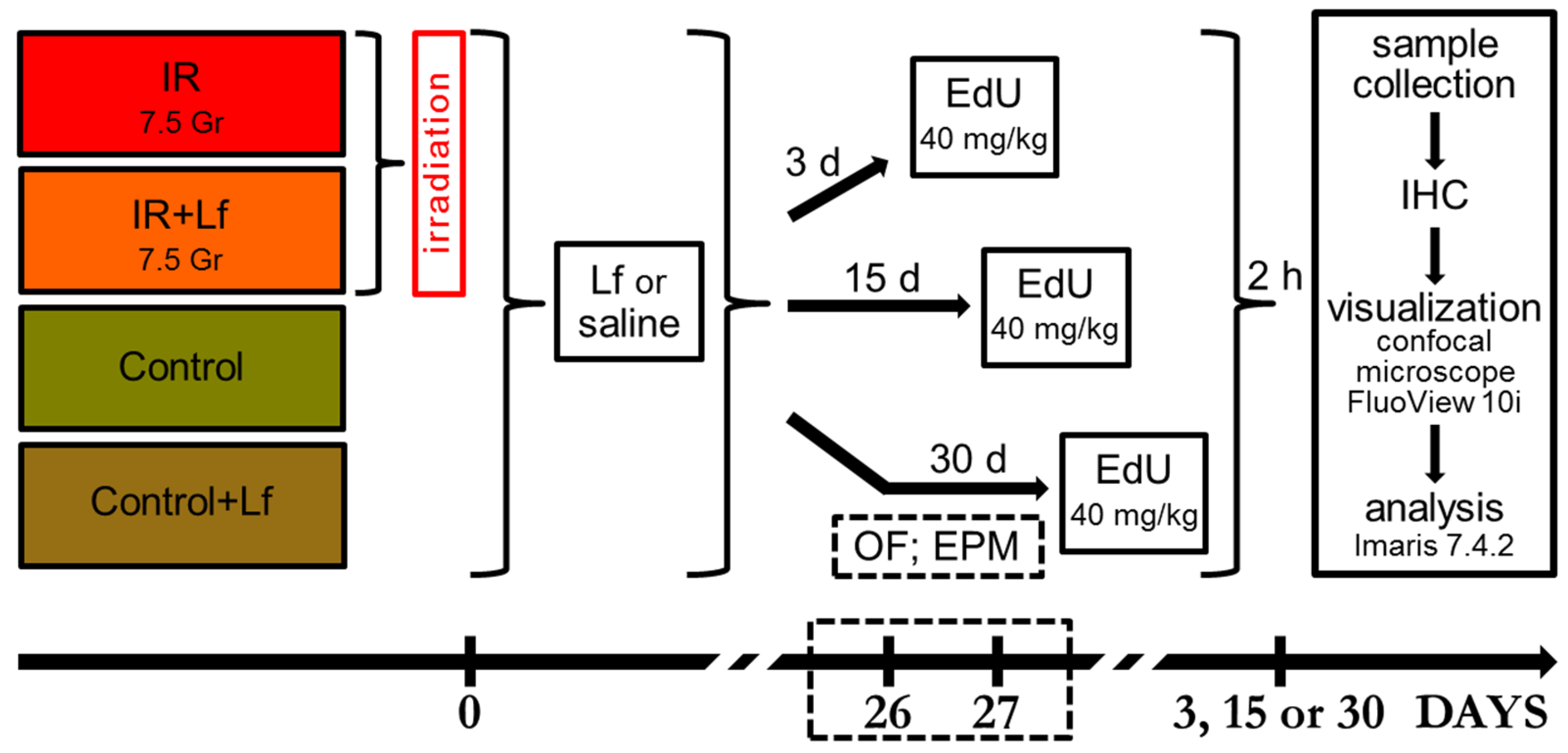 Cells 14 01198 g001 Cells 14 01198 g001