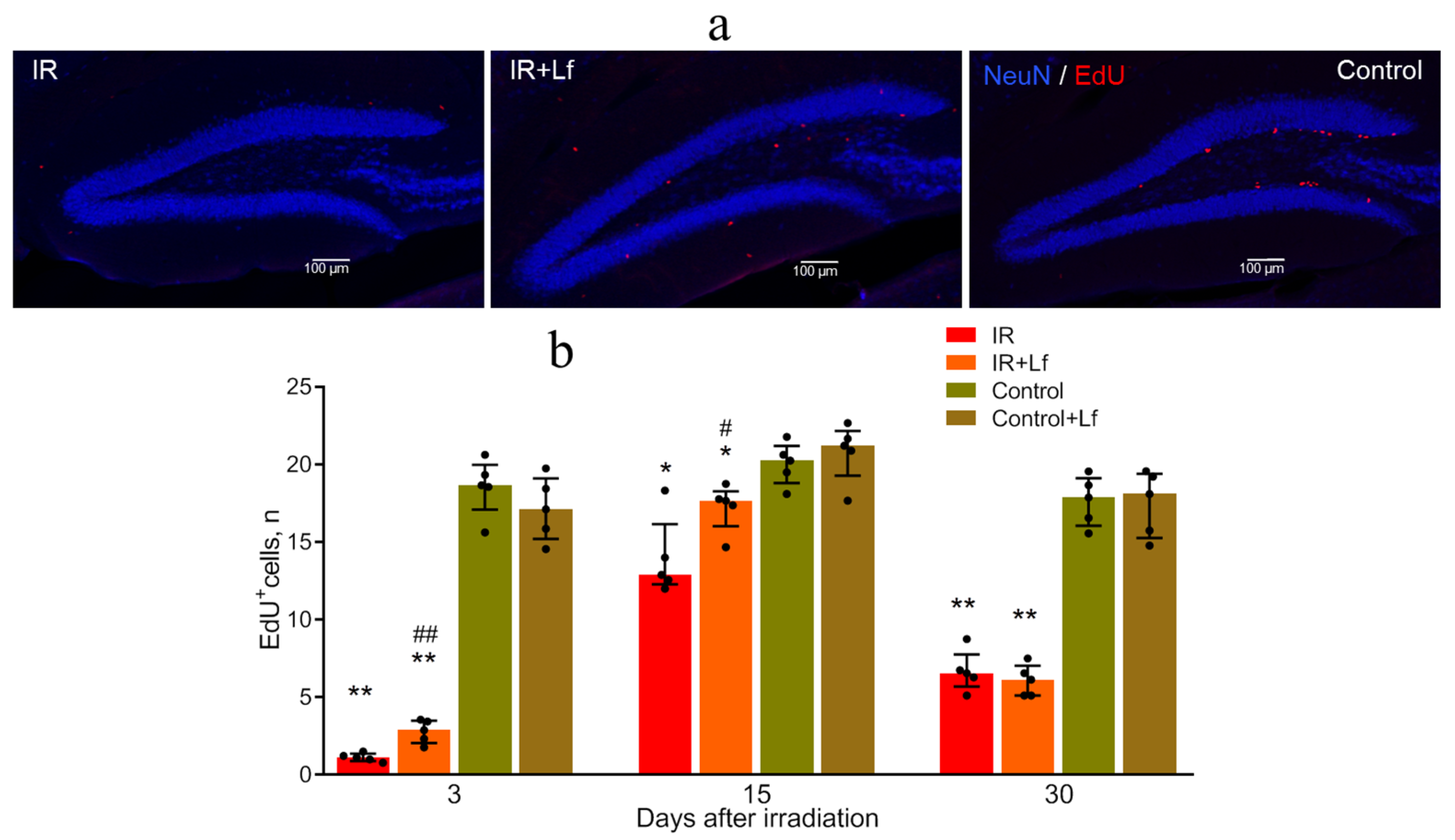 Cells 14 01198 g008 Cells 14 01198 g008