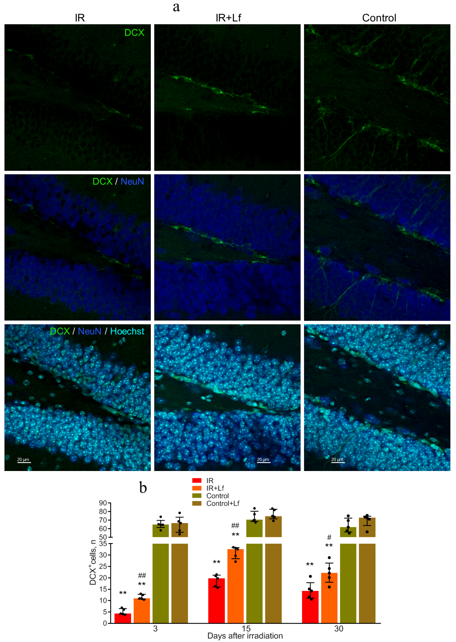 Cells 14 01198 g009 Cells 14 01198 g009