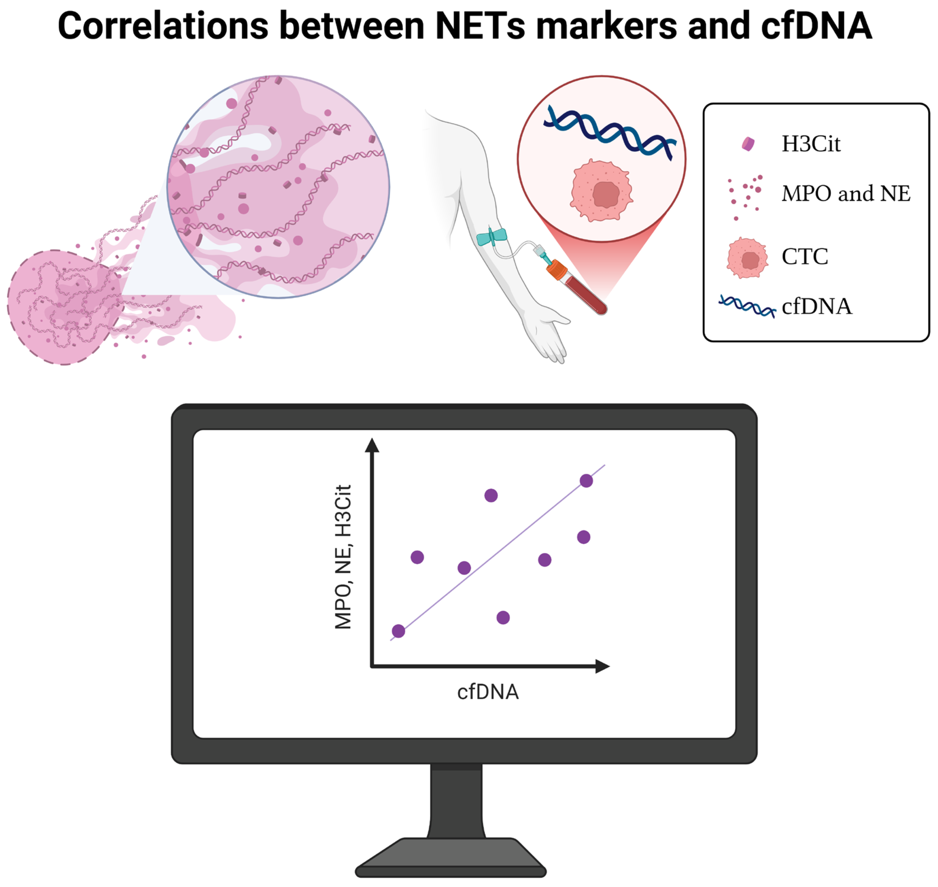 Cells 14 01200 g003 Cells 14 01200 g003