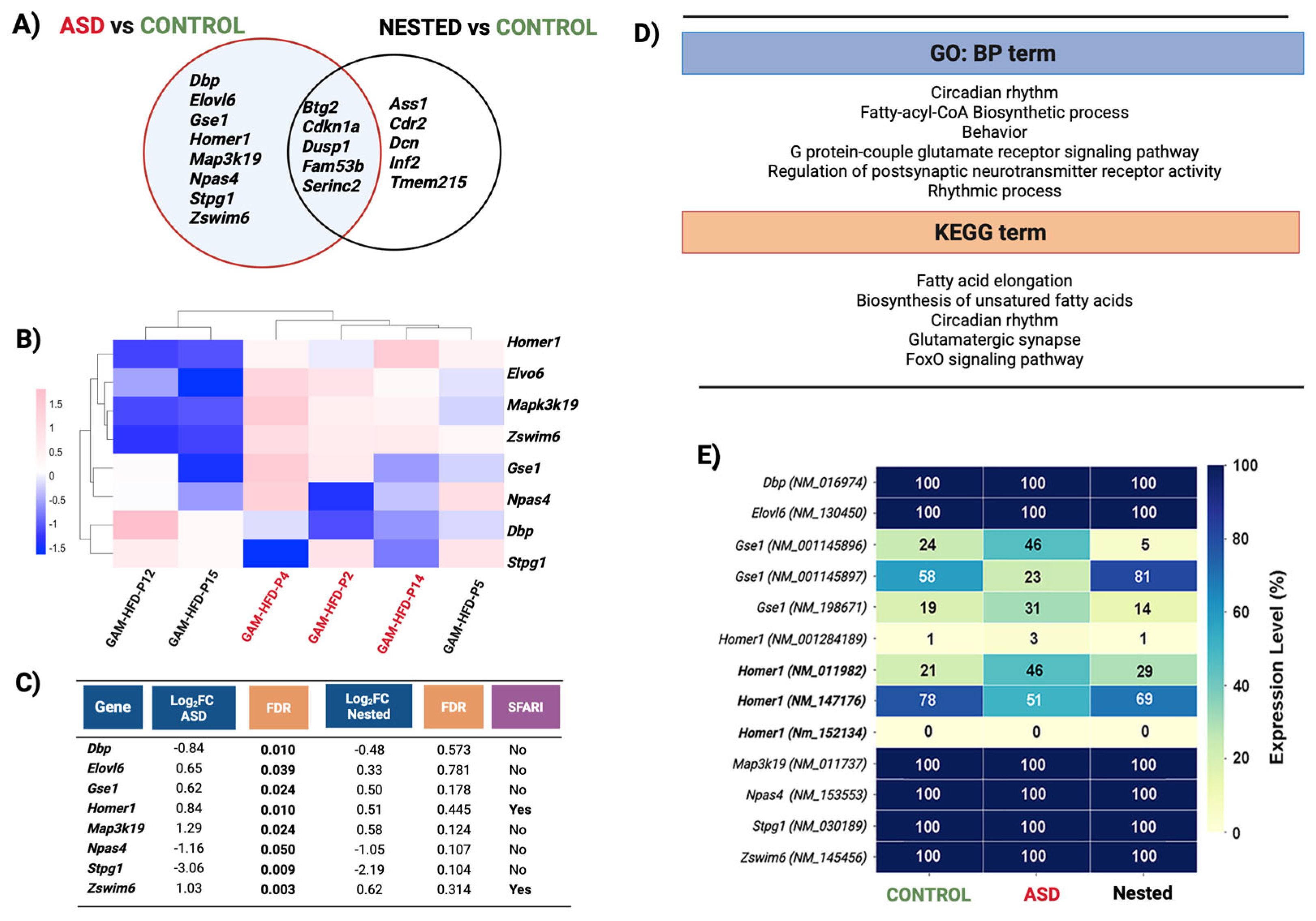 Cells 14 01201 g003 Cells 14 01201 g003