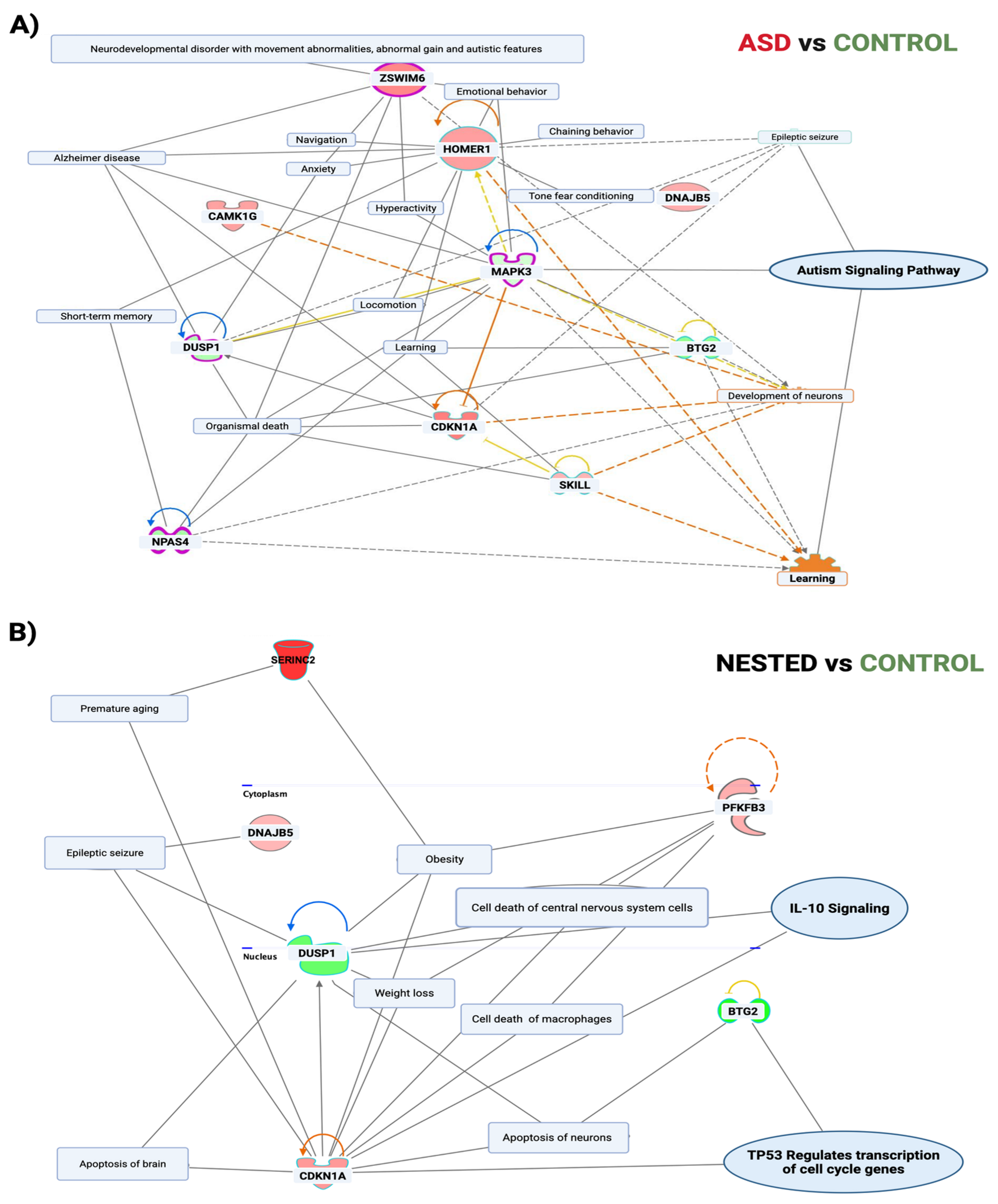 Cells 14 01201 g004 Cells 14 01201 g004