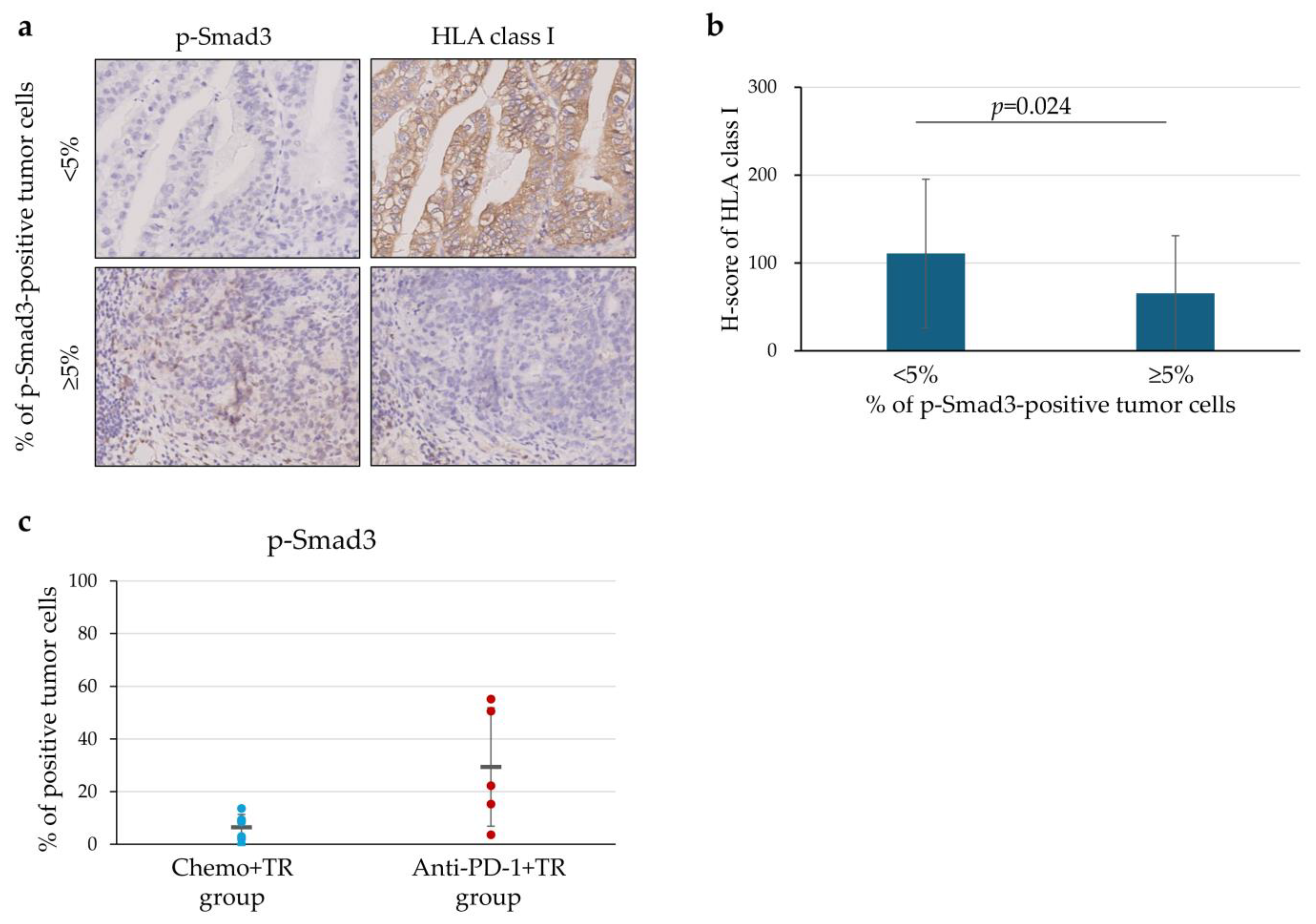 Cells 14 01212 g006 Cells 14 01212 g006