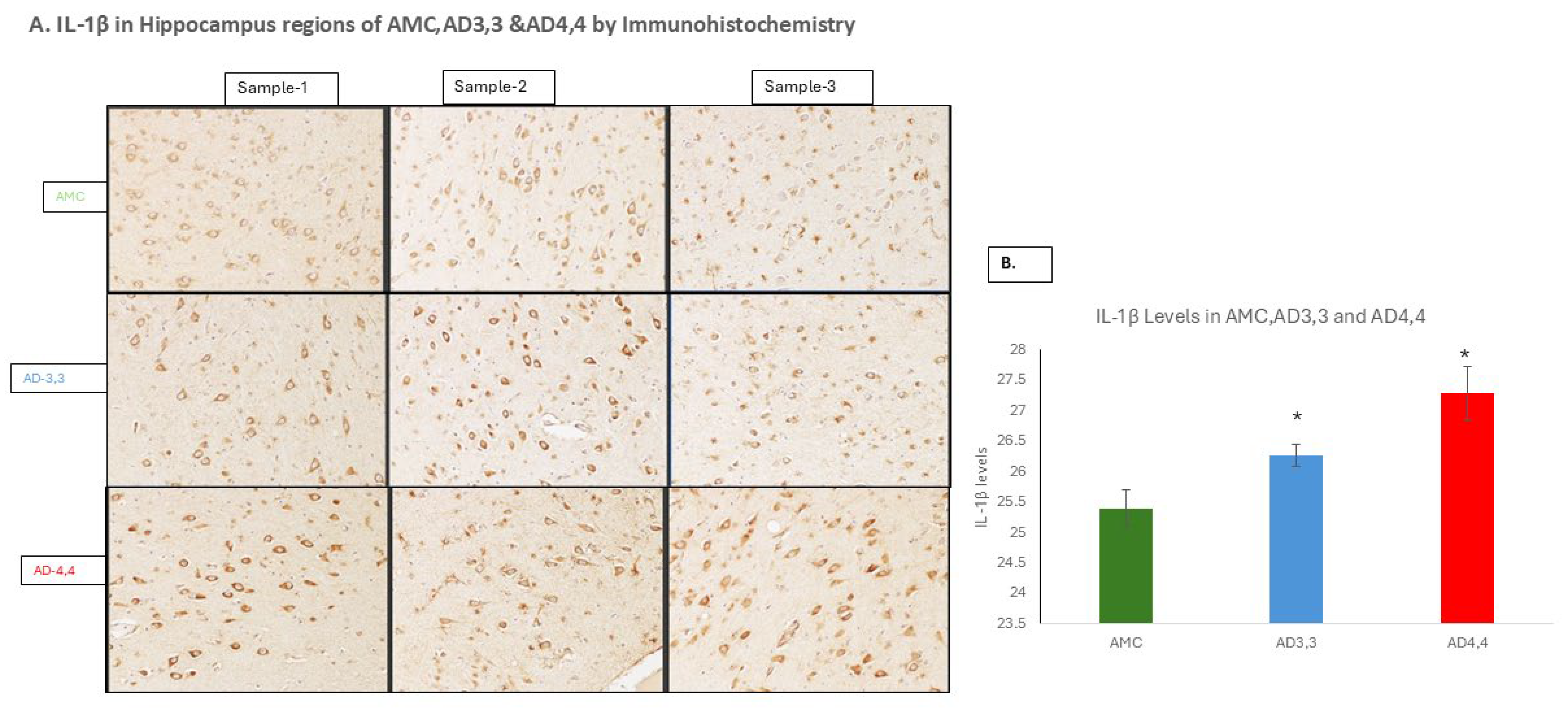 Cells 14 01216 g001a
