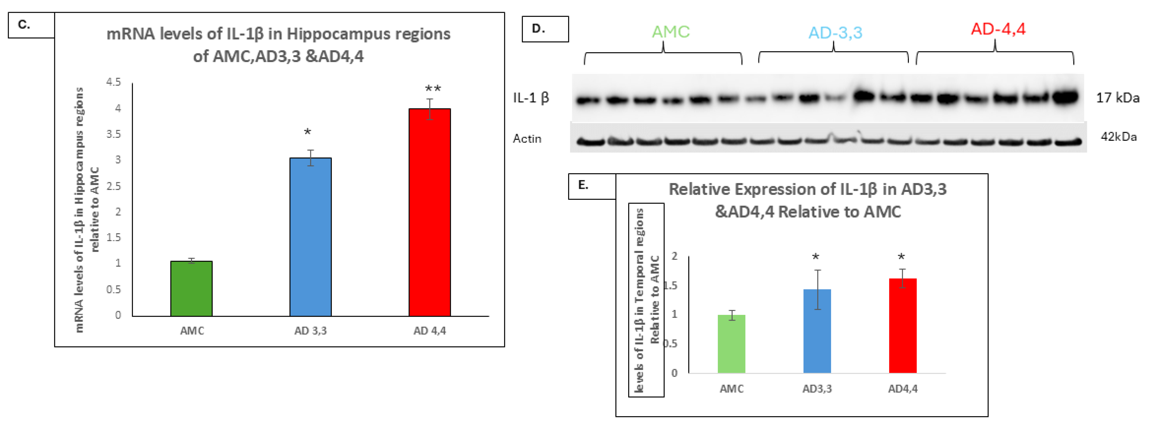 Cells 14 01216 g001b
