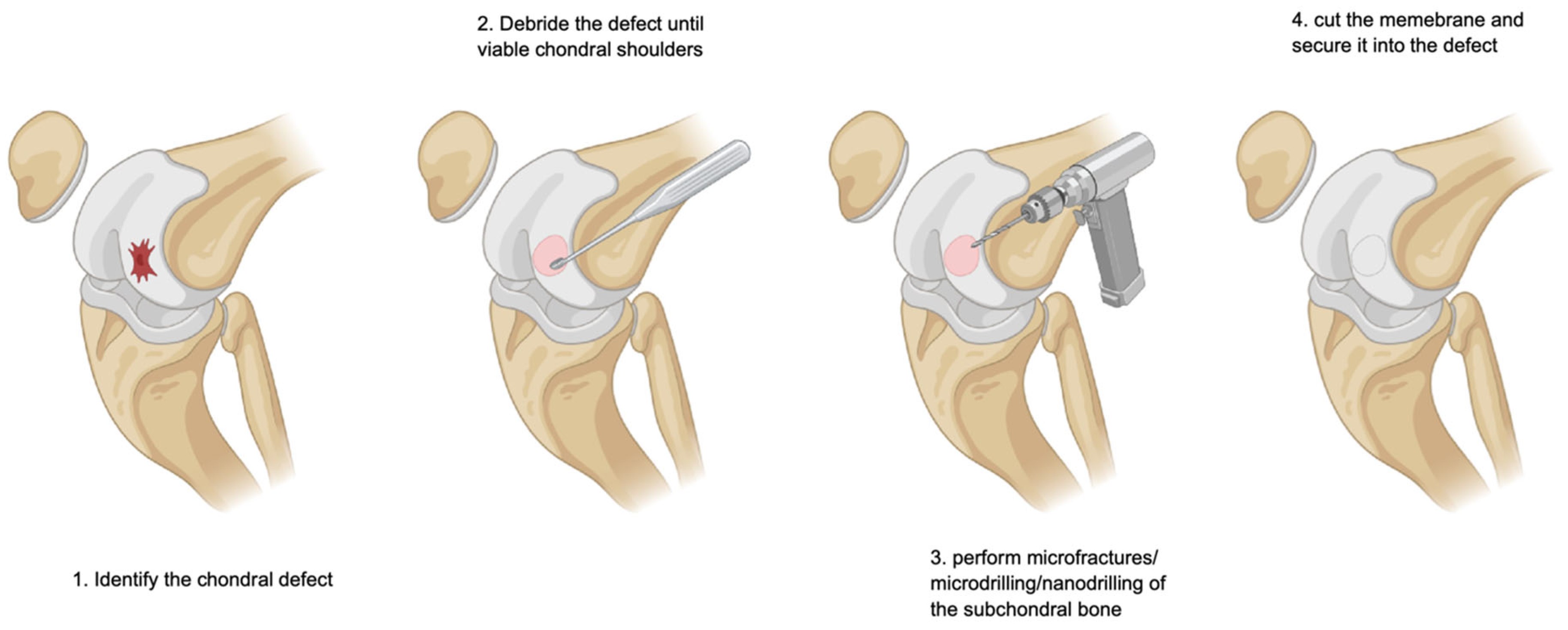 Cells 14 01217 g002 Cells 14 01217 g002