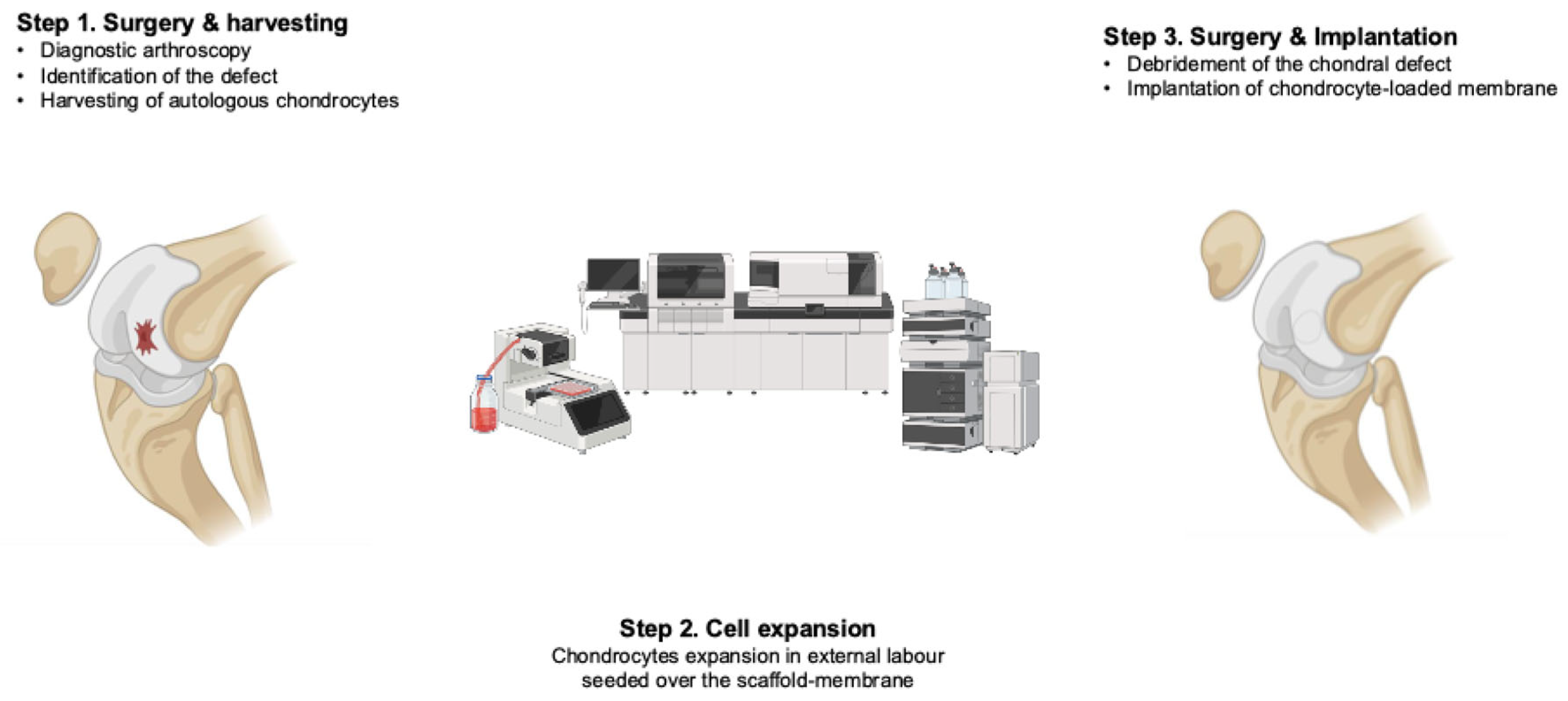 Cells 14 01217 g003 Cells 14 01217 g003