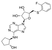 Cells 14 01219 i003 Cells 14 01219 i003