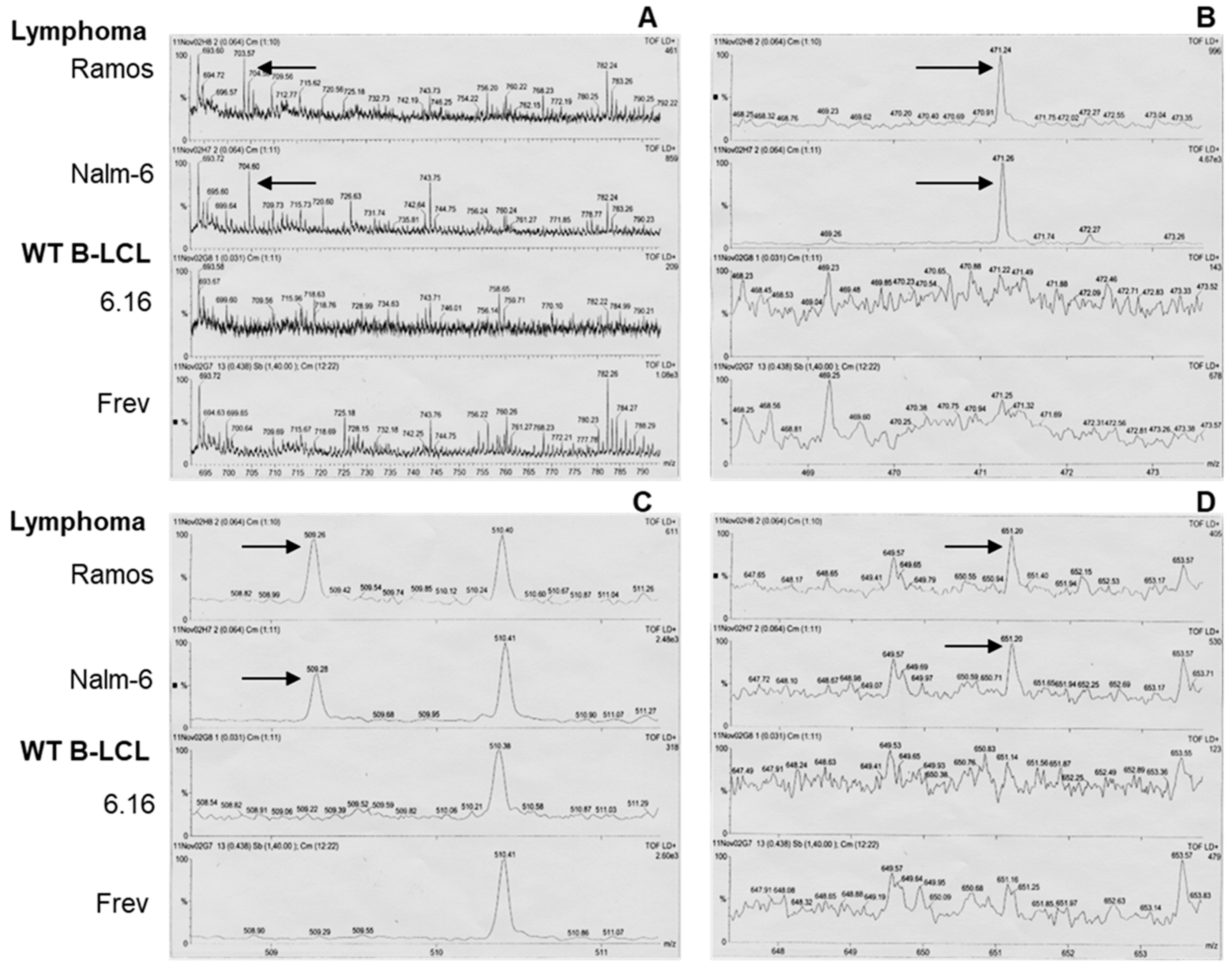 Cells 14 01220 g002 Cells 14 01220 g002