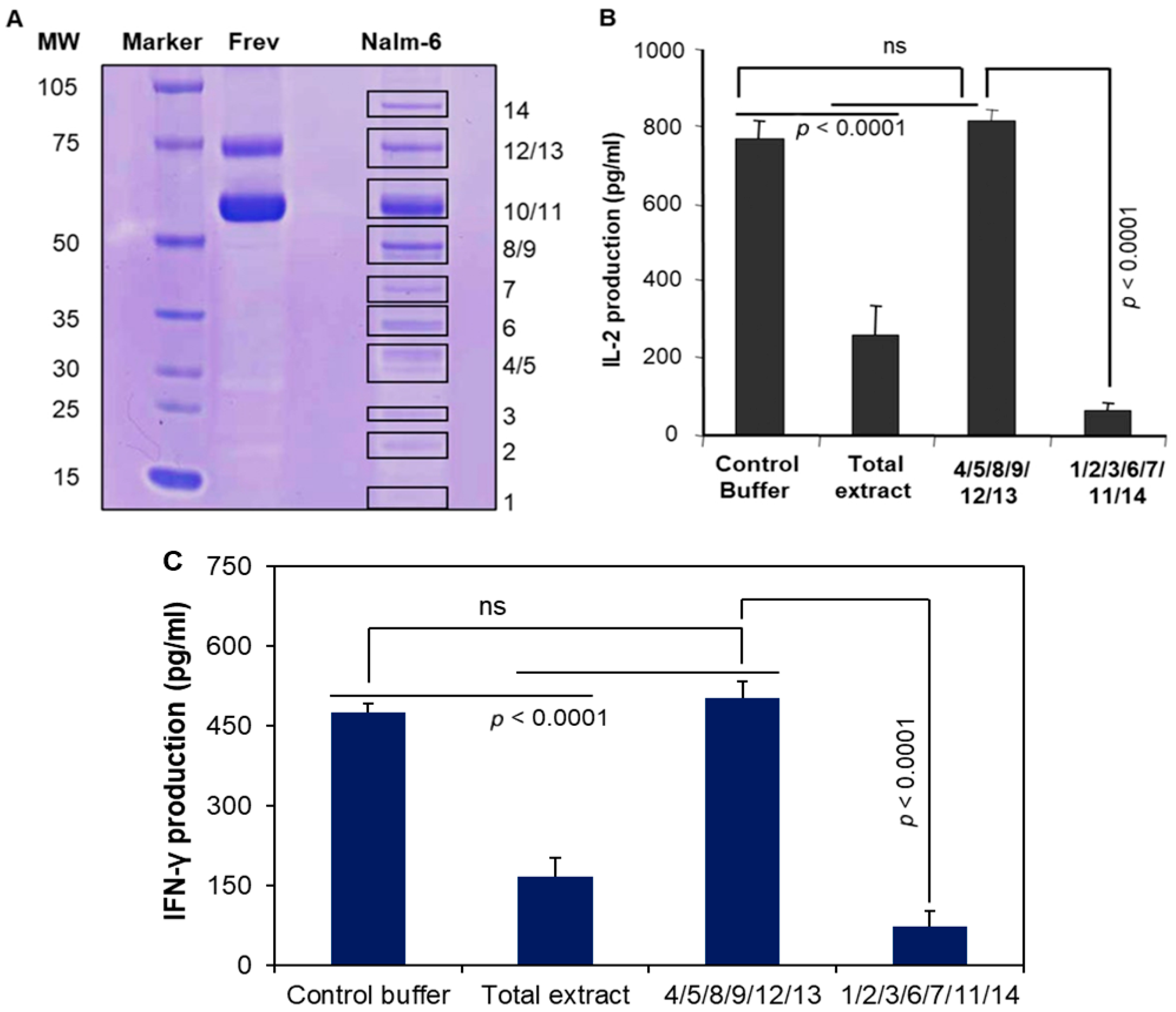 Cells 14 01220 g005 Cells 14 01220 g005