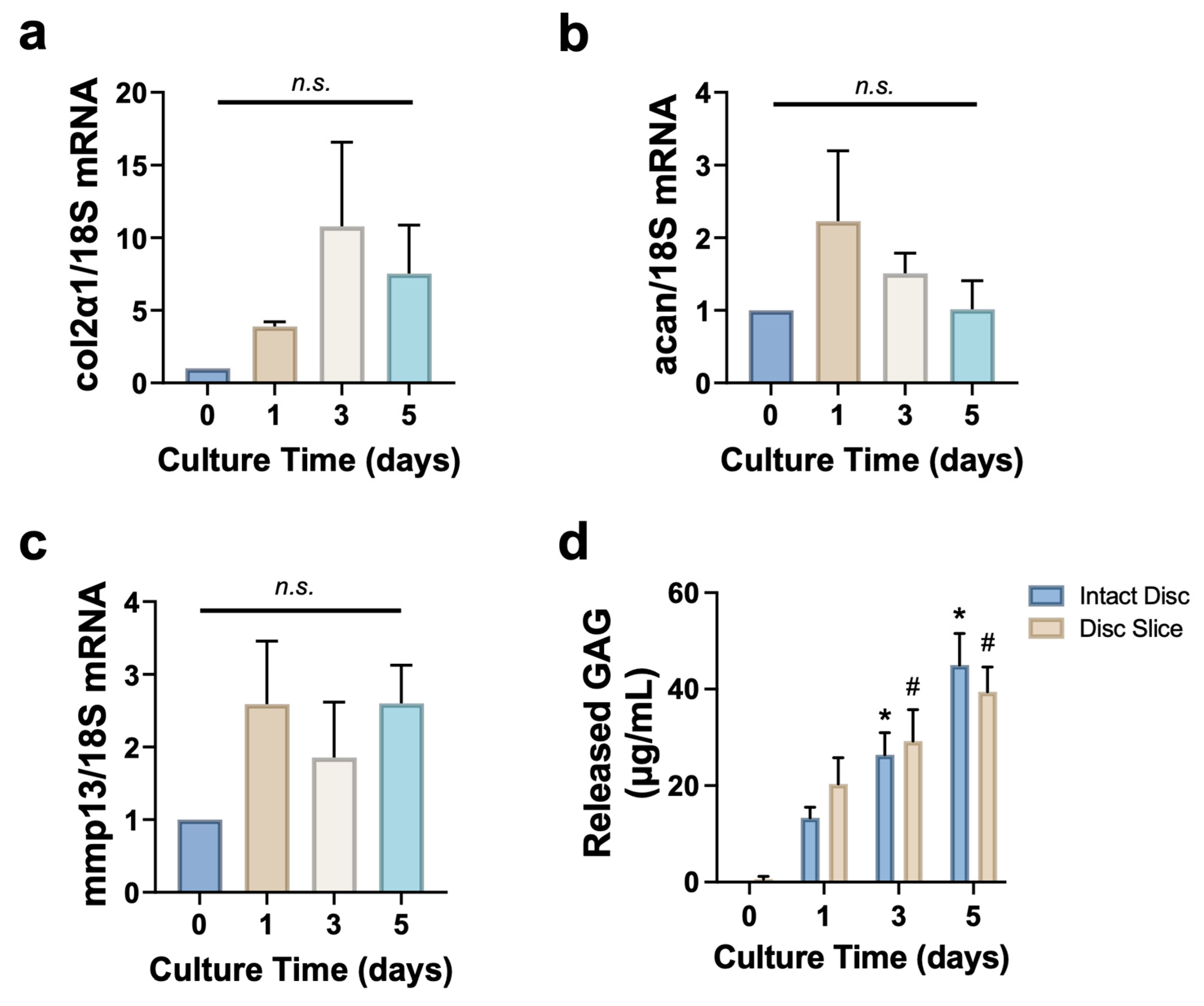 Cells 14 01230 g004 Cells 14 01230 g004