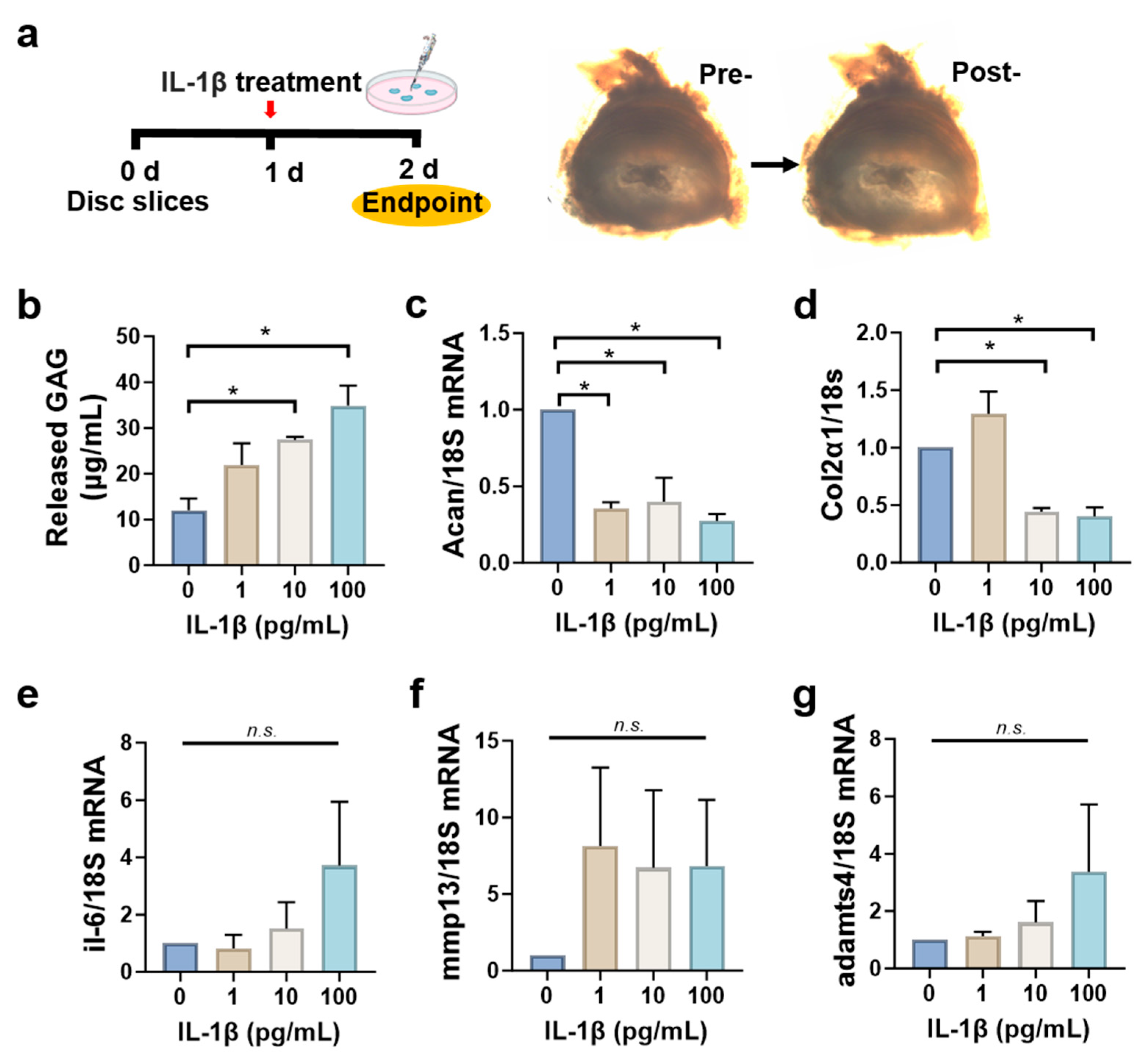 Cells 14 01230 g005 Cells 14 01230 g005