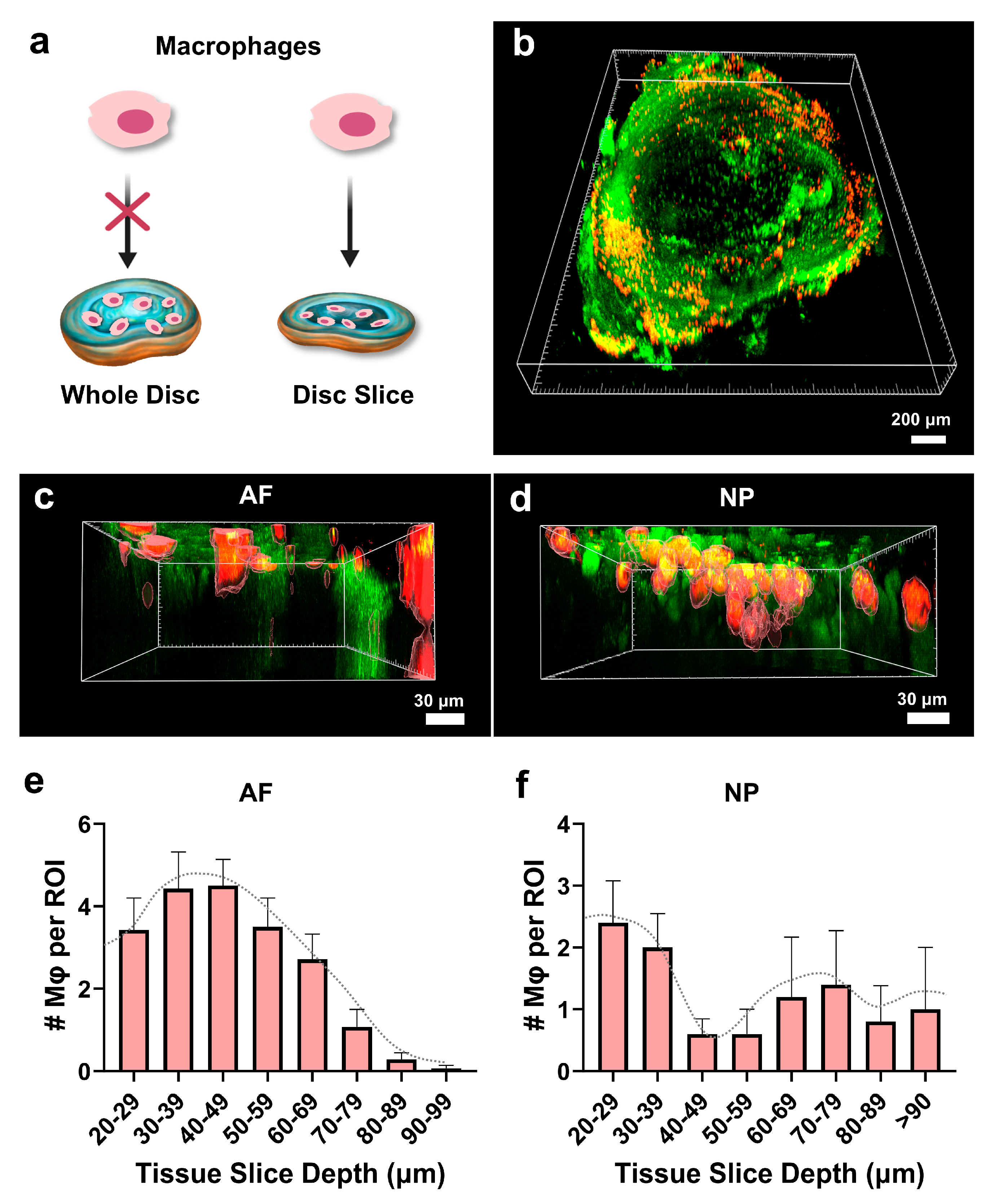 Cells 14 01230 g007 Cells 14 01230 g007