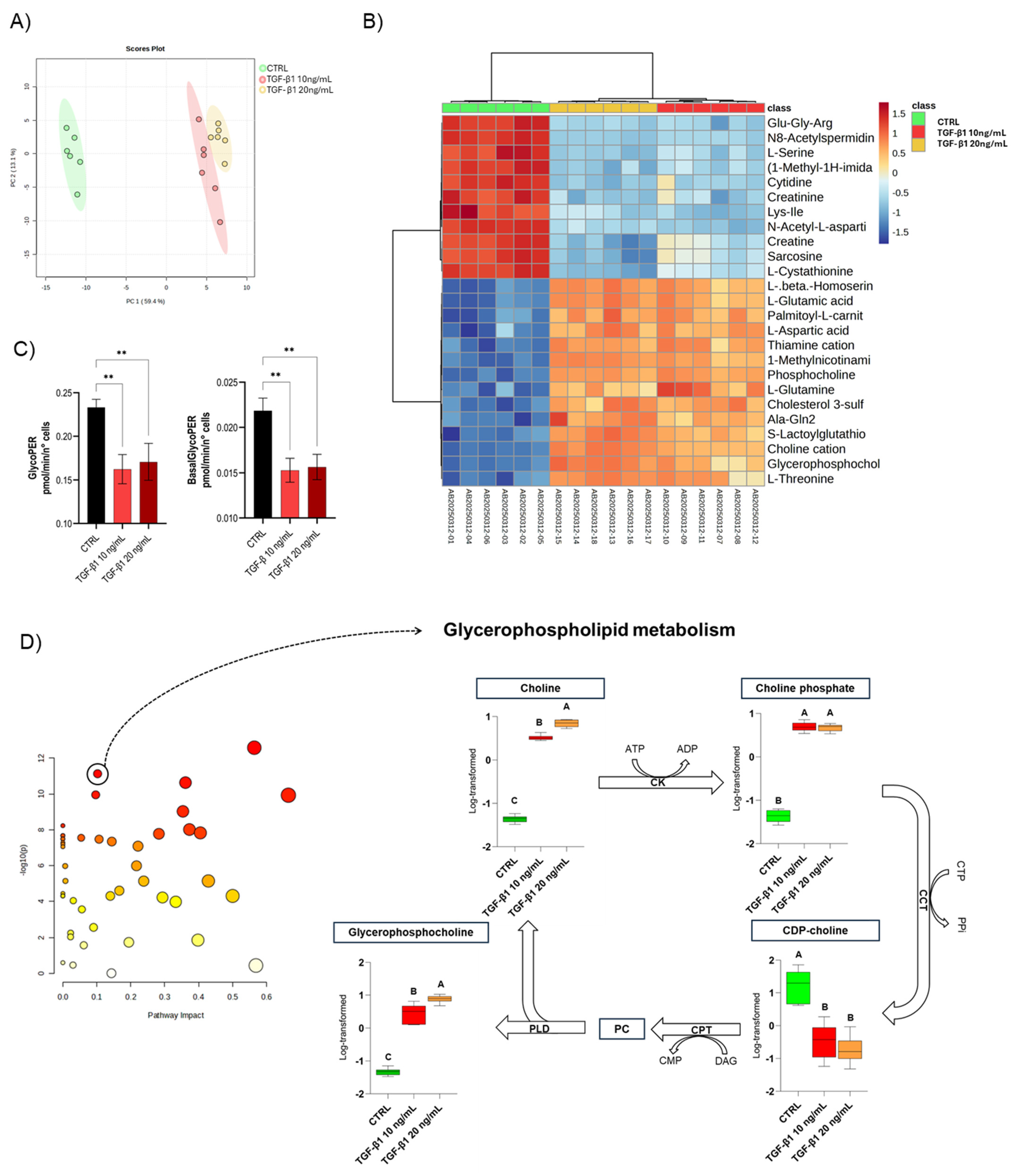 Cells 14 01233 g004 Cells 14 01233 g004