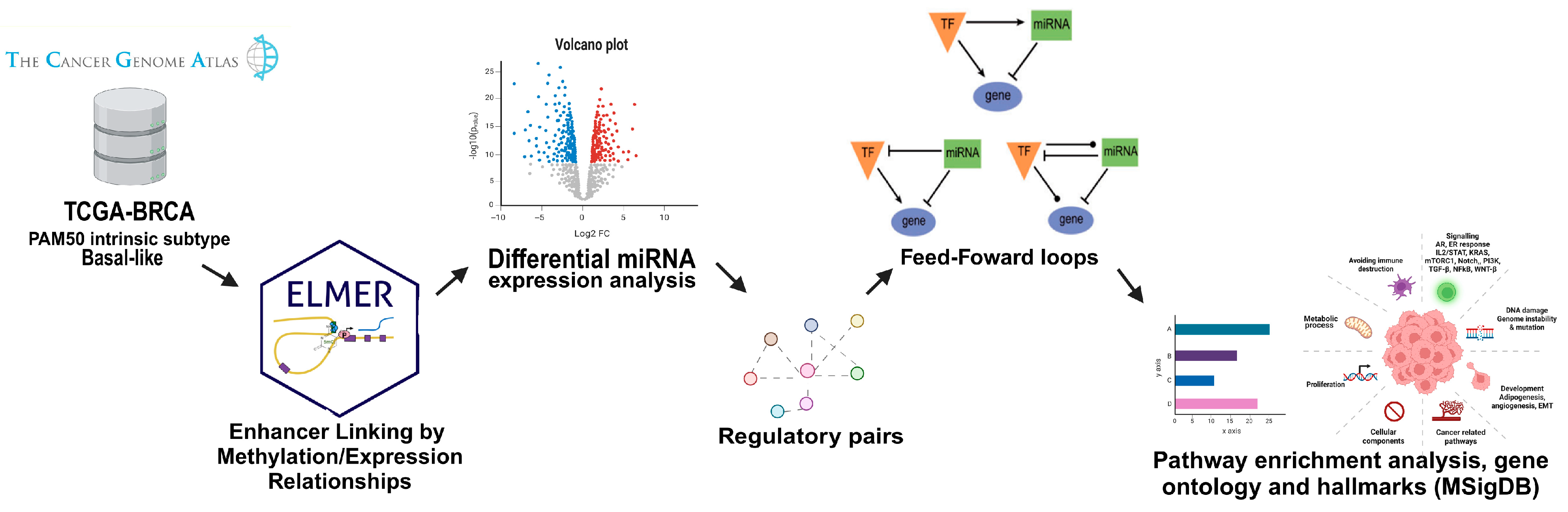 Cells 14 01235 g001 Cells 14 01235 g001