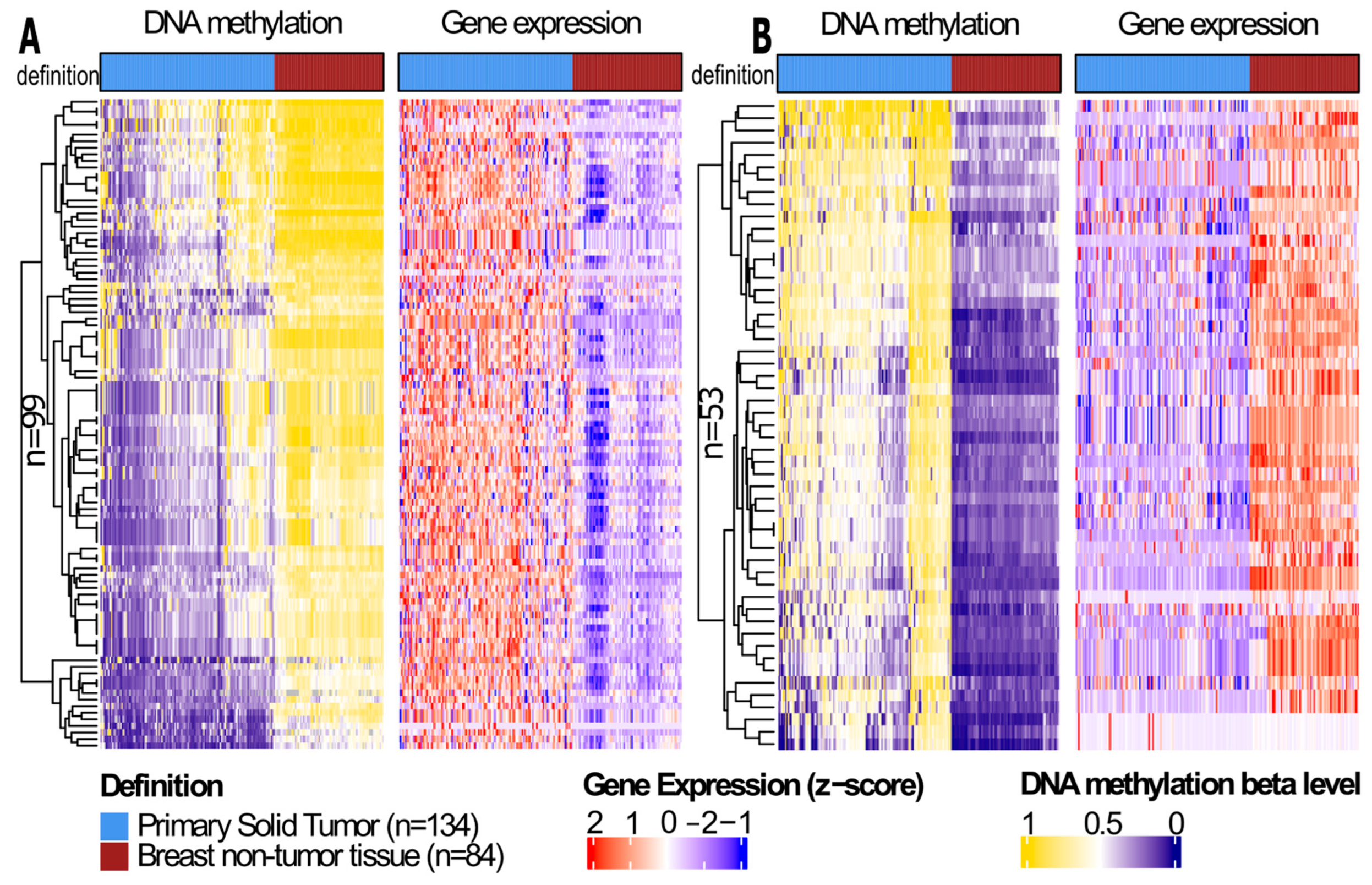 Cells 14 01235 g003 Cells 14 01235 g003