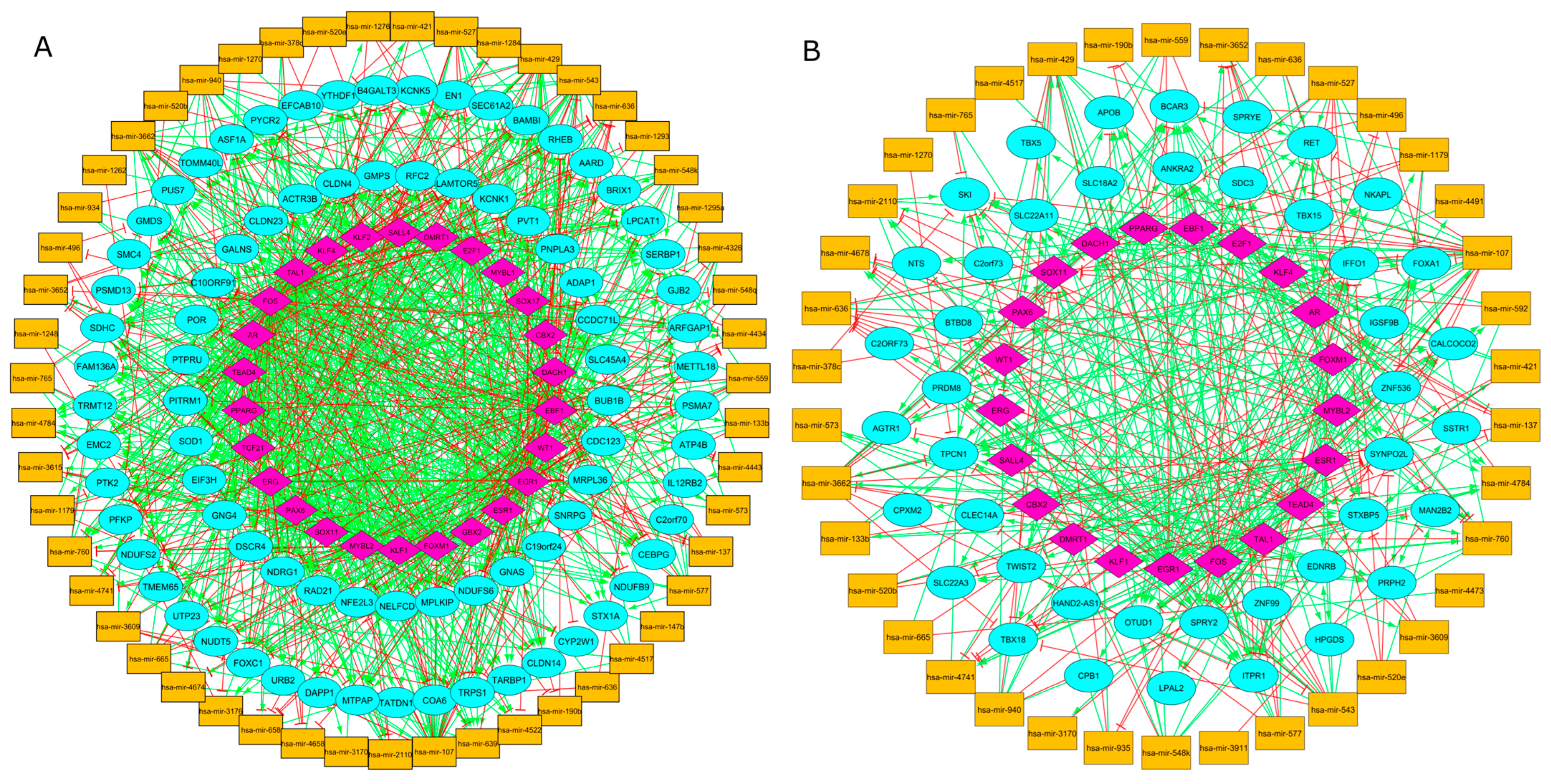 Cells 14 01235 g004 Cells 14 01235 g004