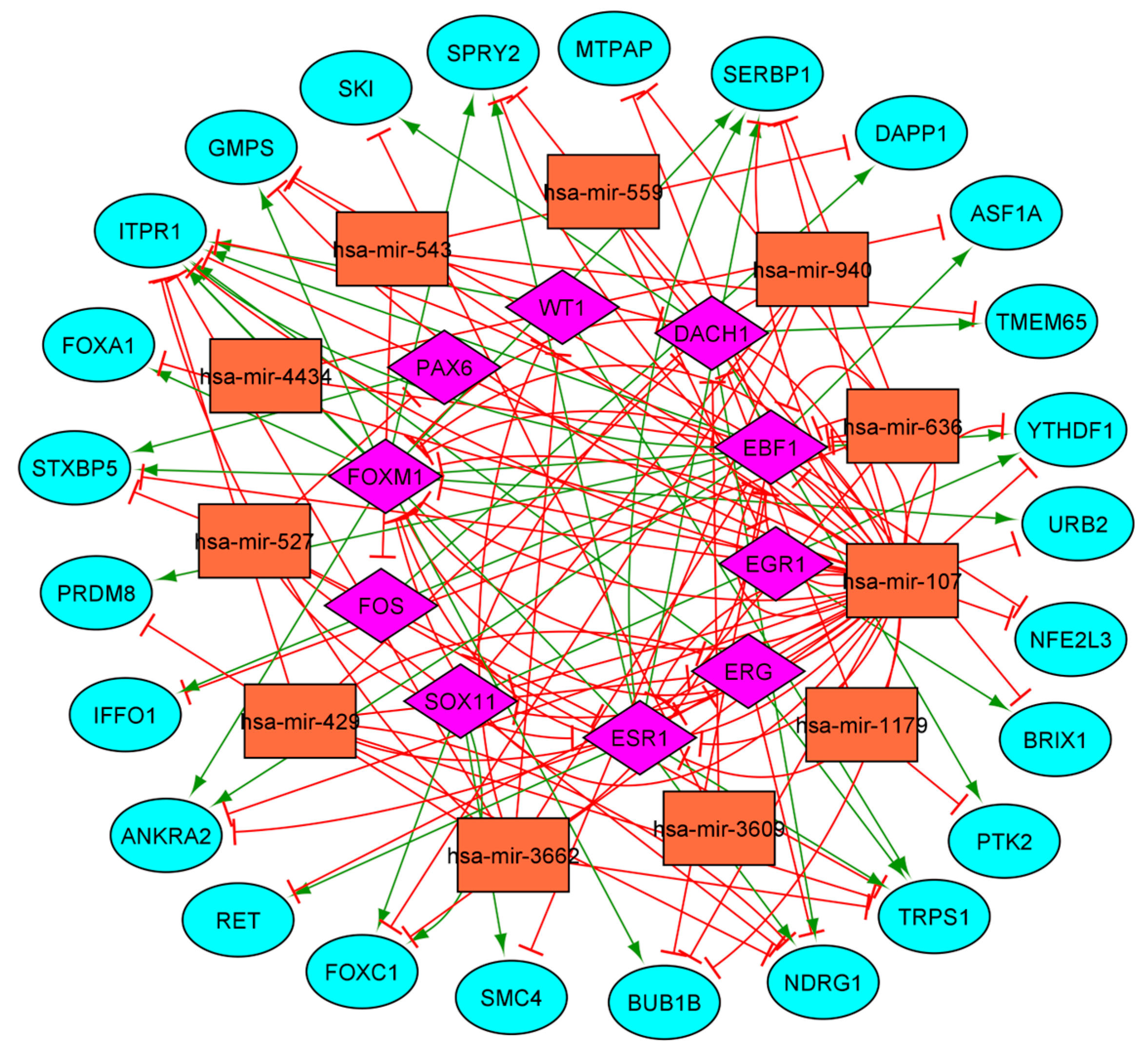Cells 14 01235 g005 Cells 14 01235 g005