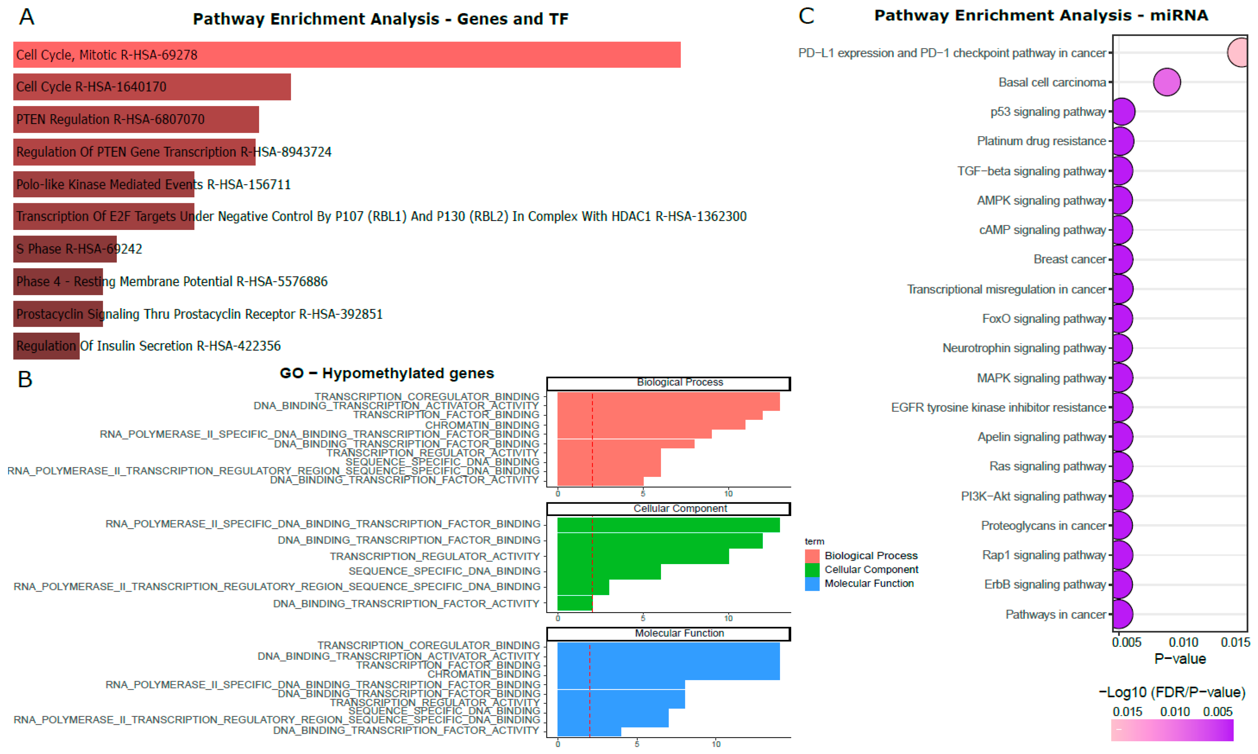 Cells 14 01235 g007 Cells 14 01235 g007