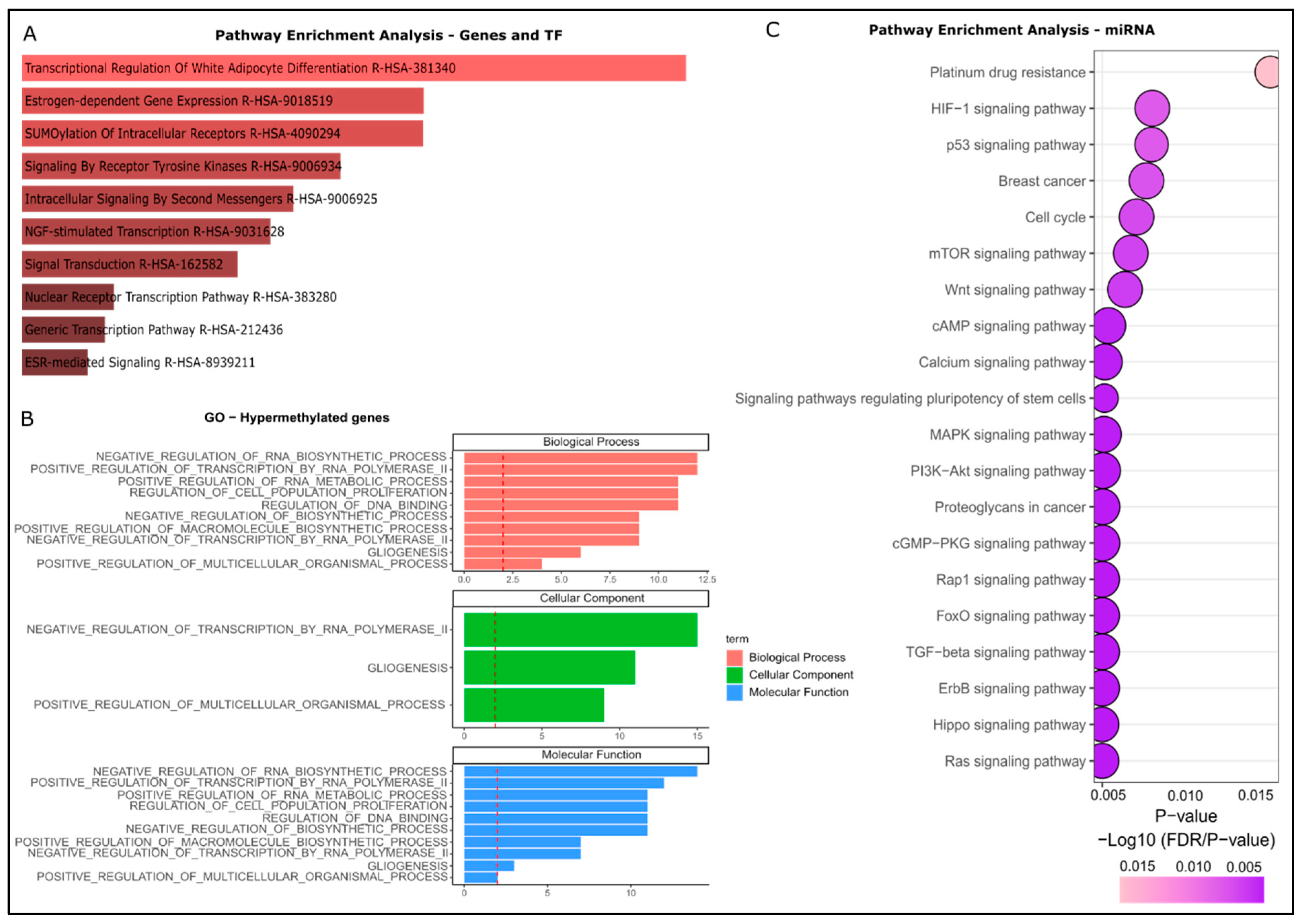 Cells 14 01235 g008 Cells 14 01235 g008