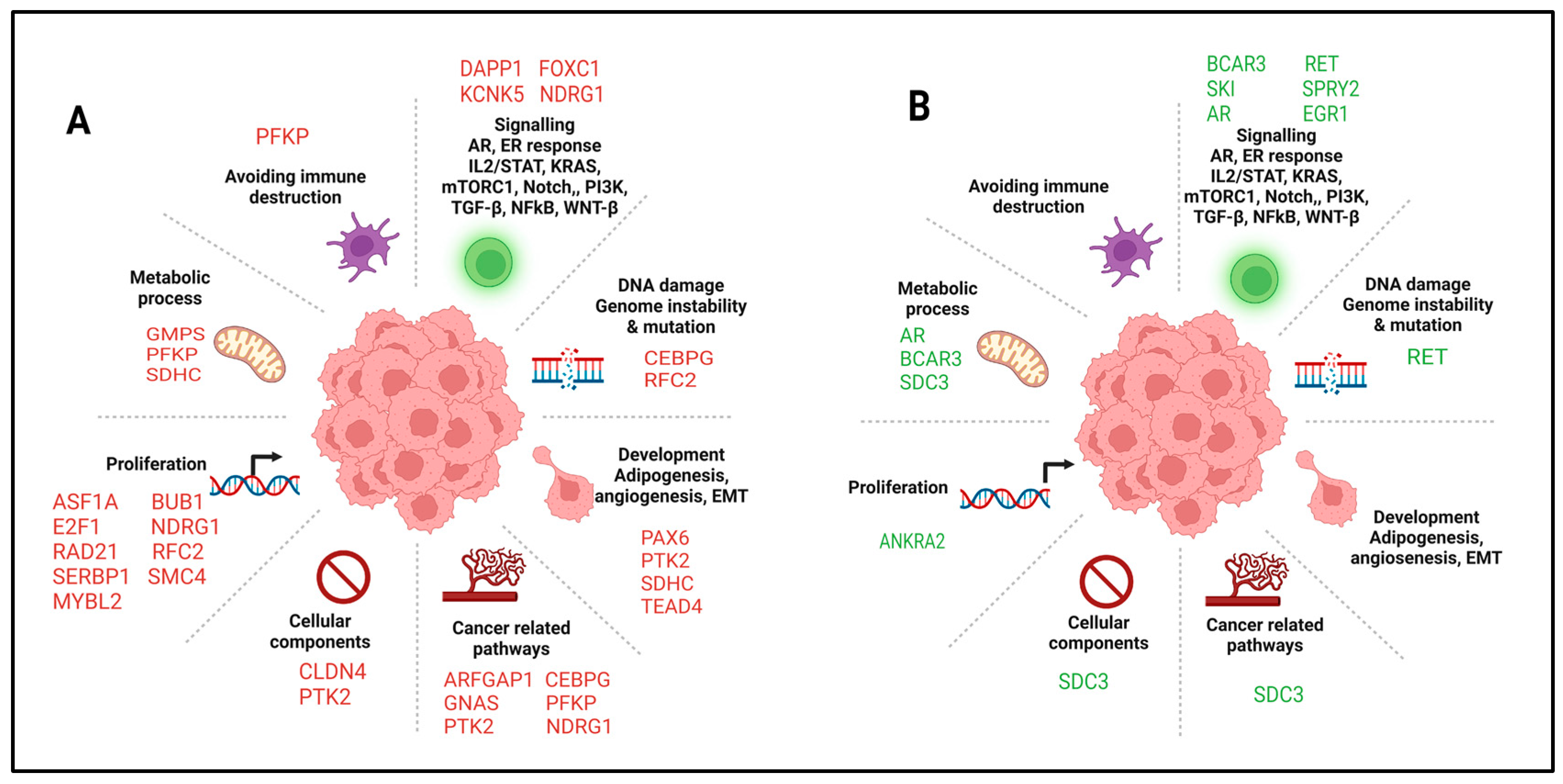 Cells 14 01235 g009 Cells 14 01235 g009