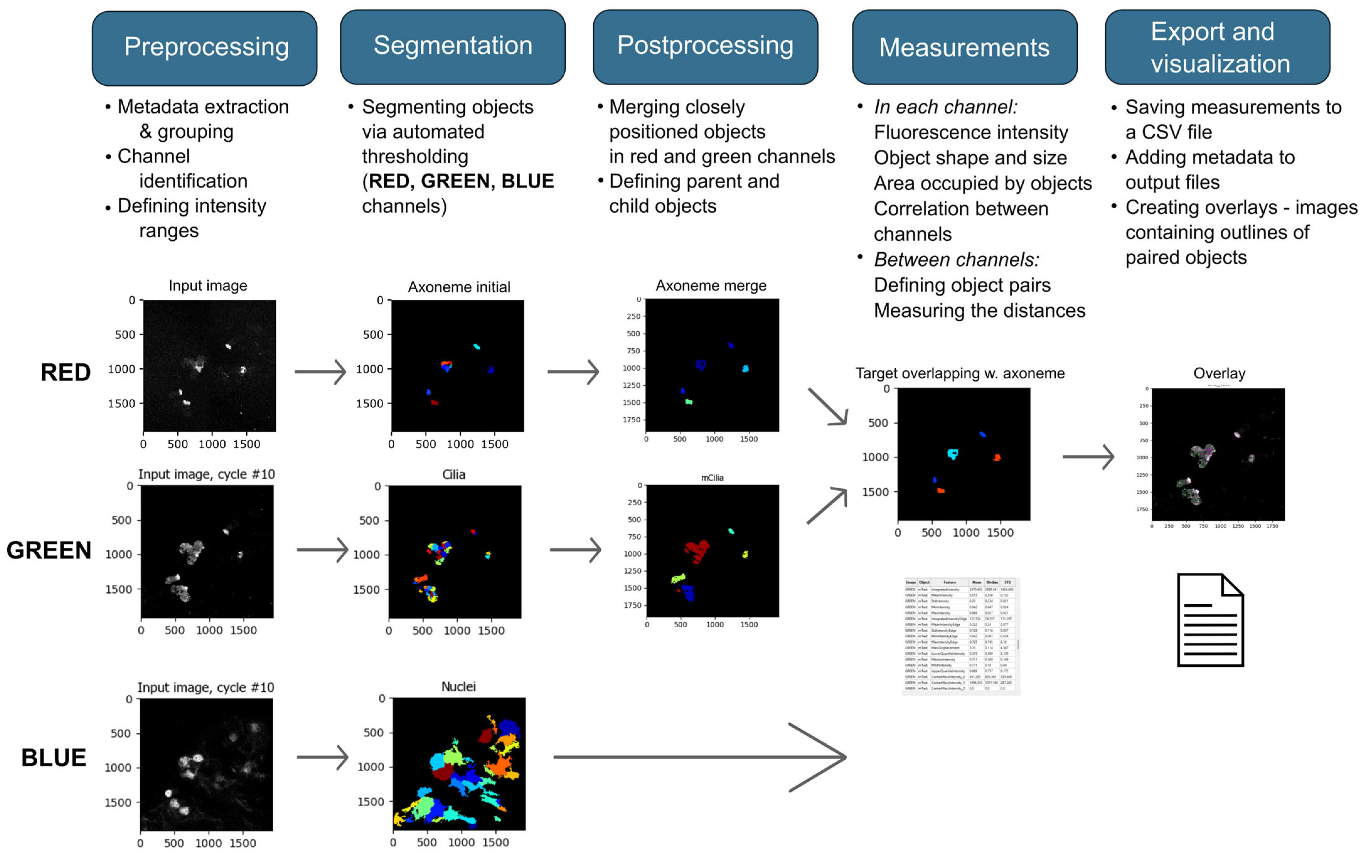 Cells 14 01236 g002 Cells 14 01236 g002