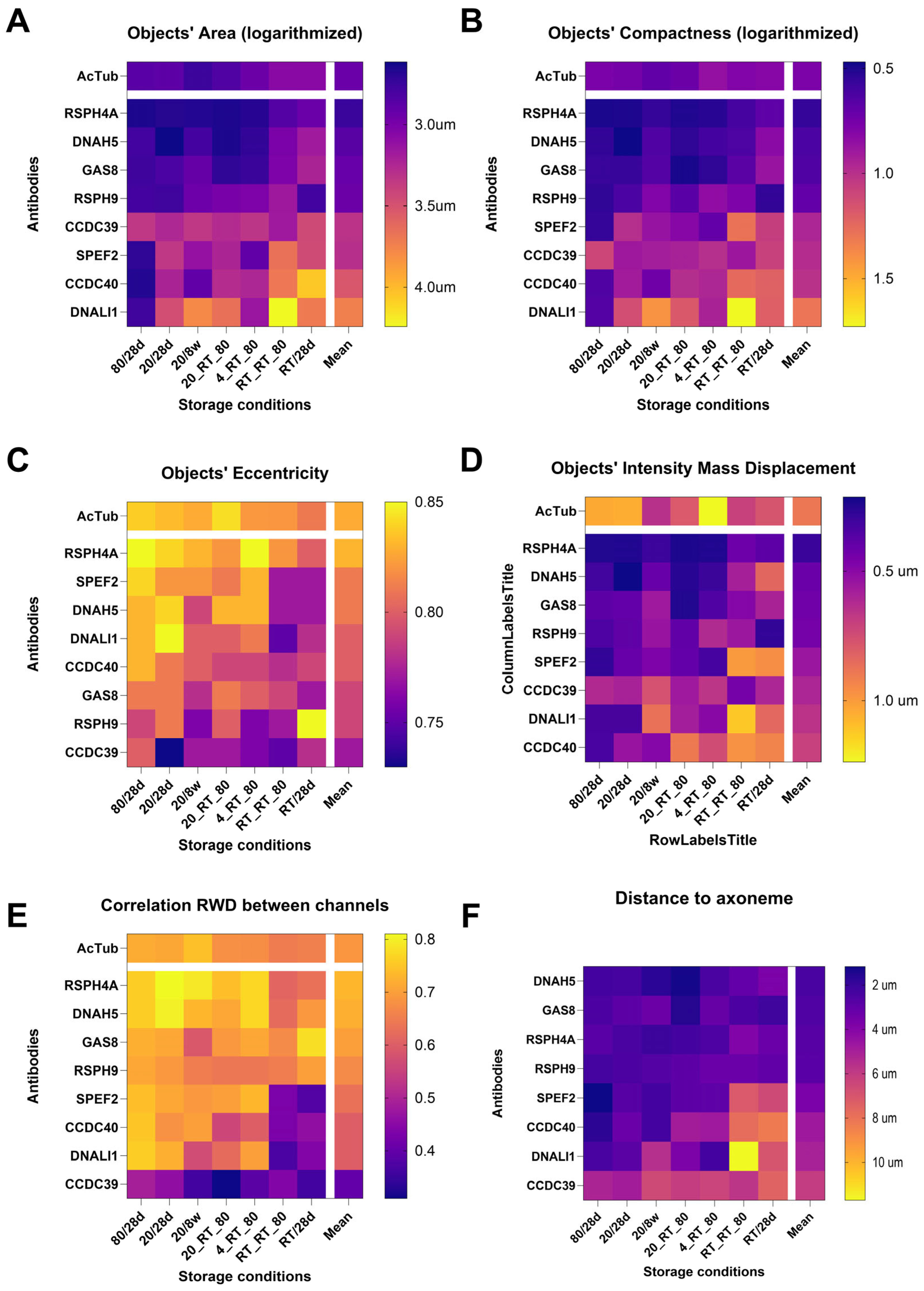 Cells 14 01236 g003 Cells 14 01236 g003