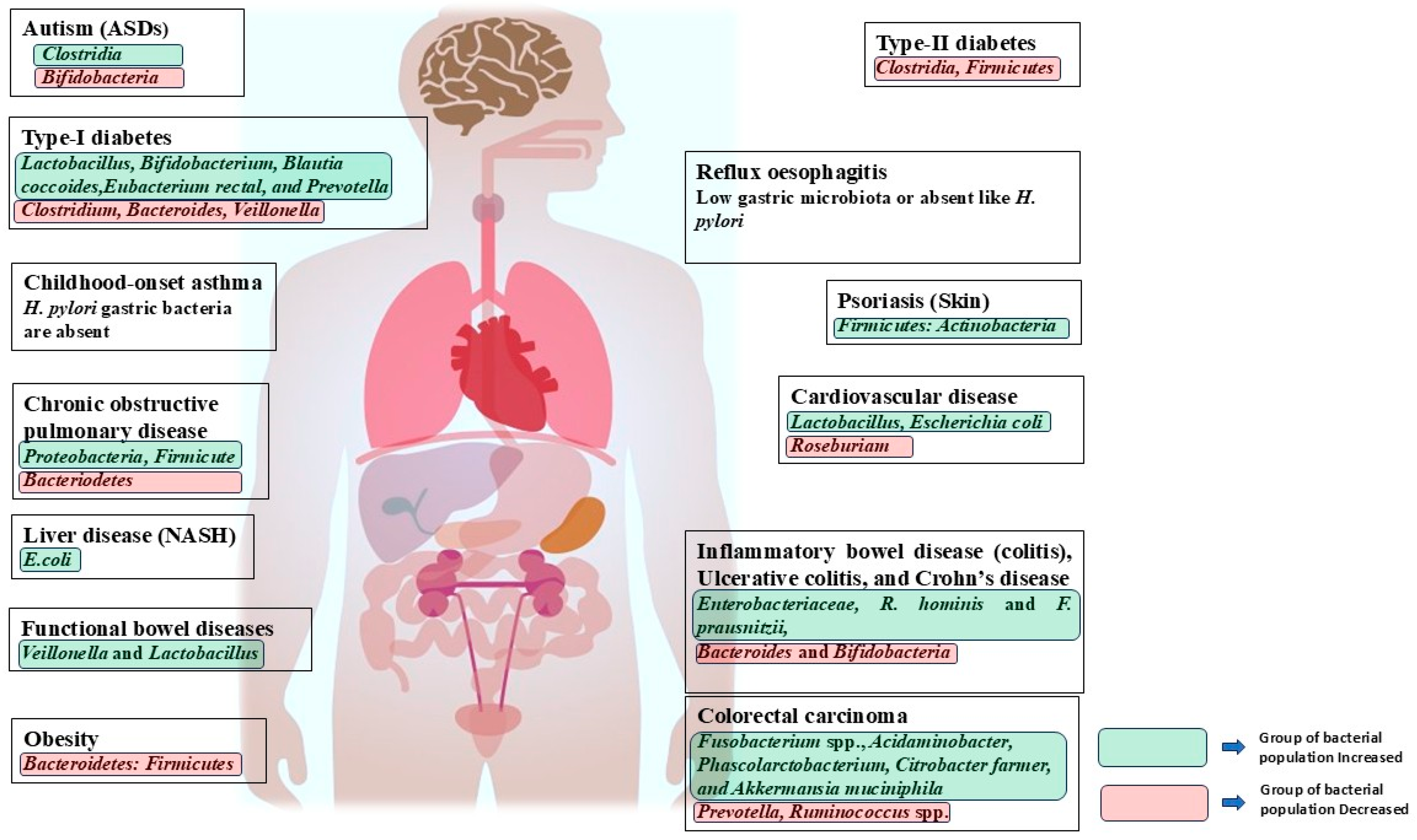 Cells 14 01237 g001 Cells 14 01237 g001