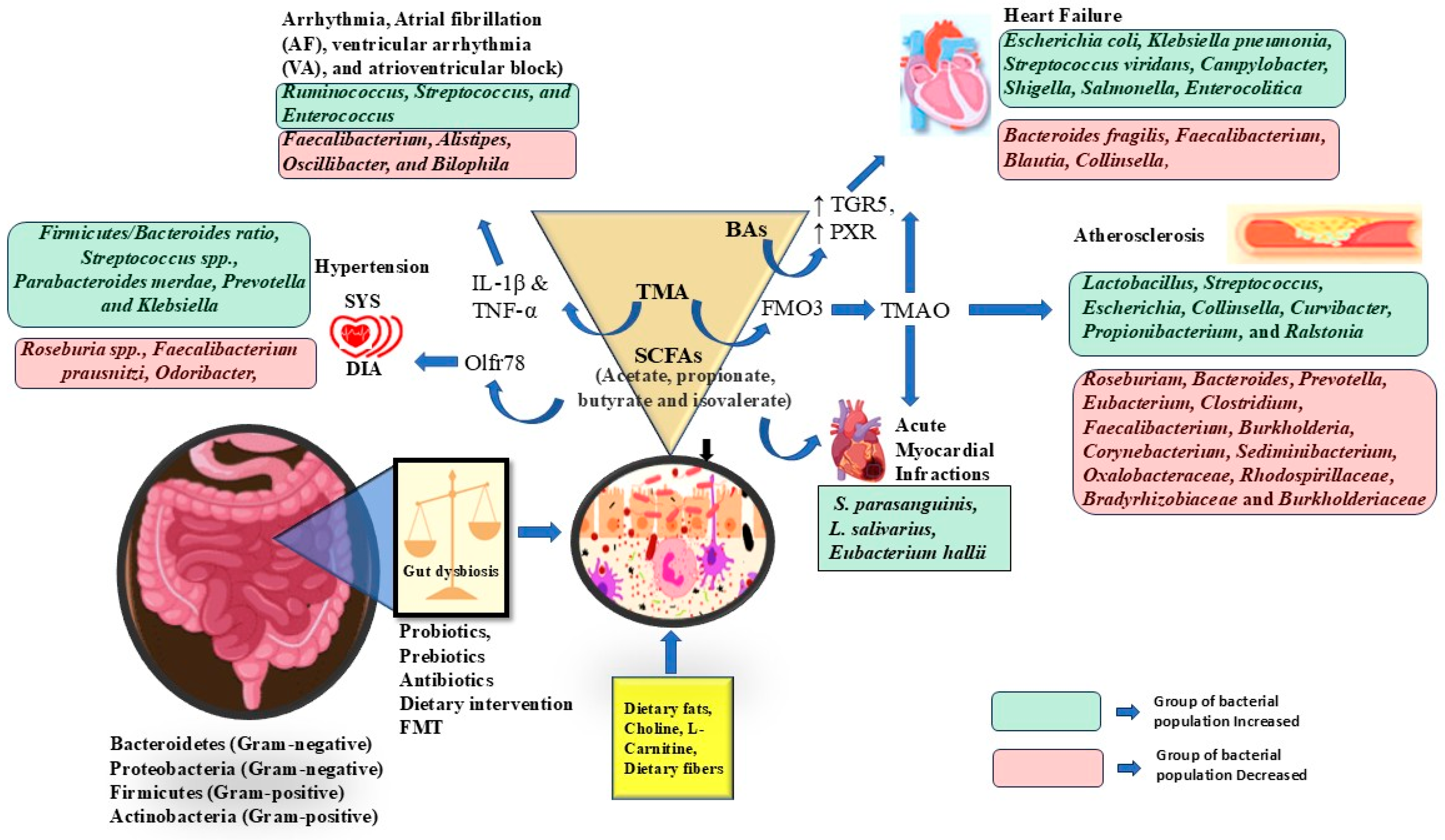 Cells 14 01237 g002 Cells 14 01237 g002