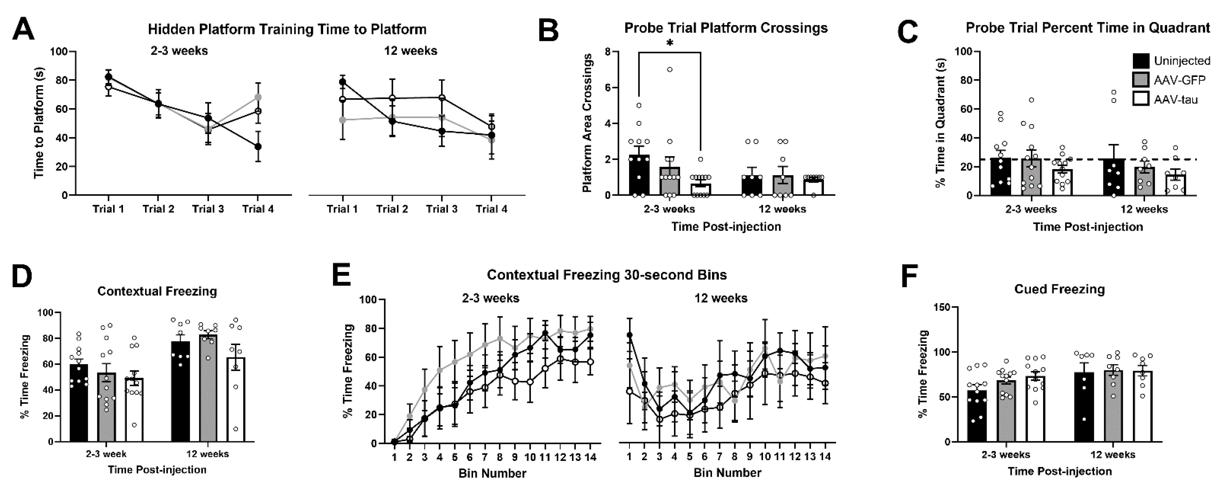 Cells 14 01238 g004 Cells 14 01238 g004