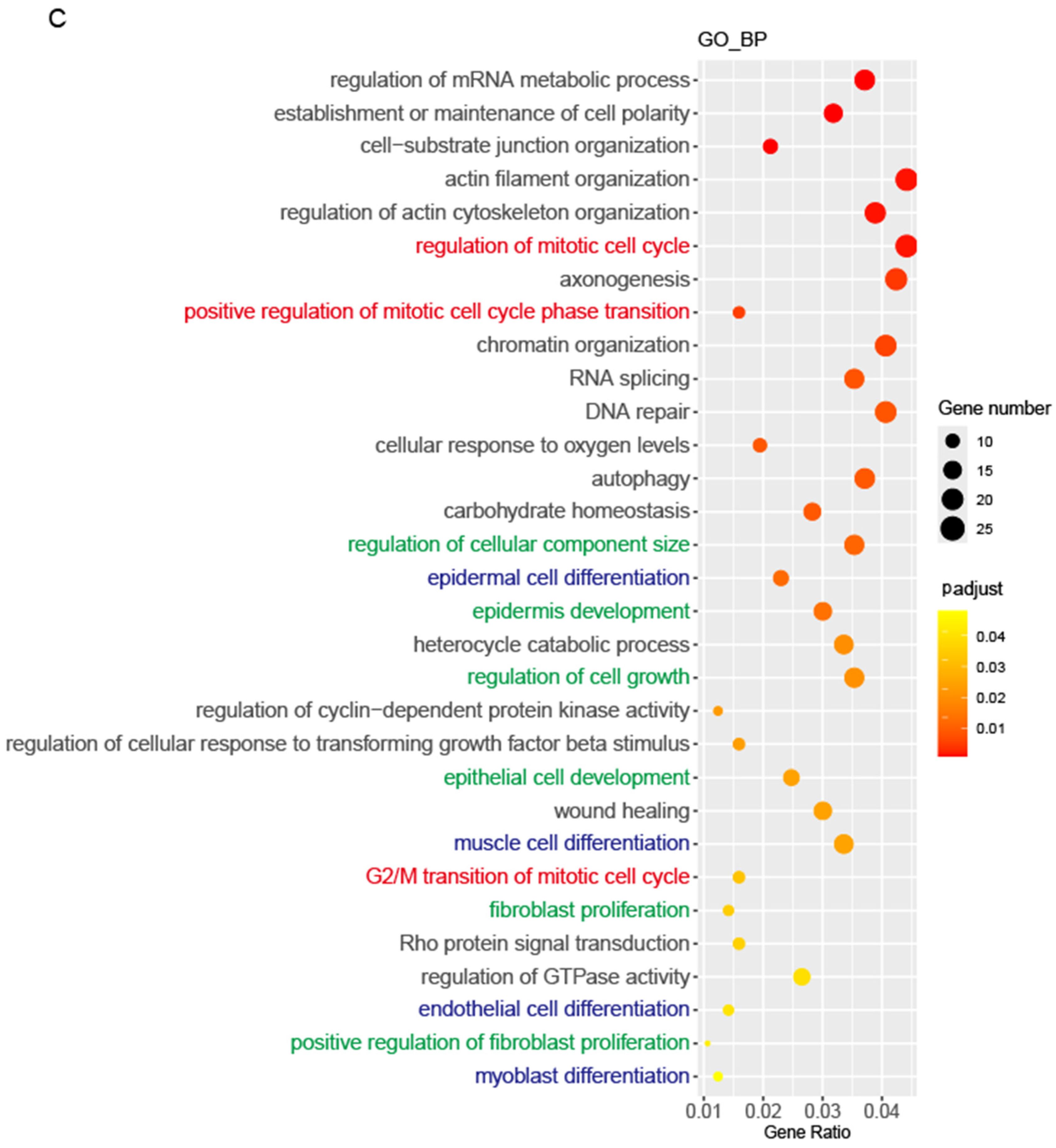 Cells 14 01239 g007c Cells 14 01239 g007c