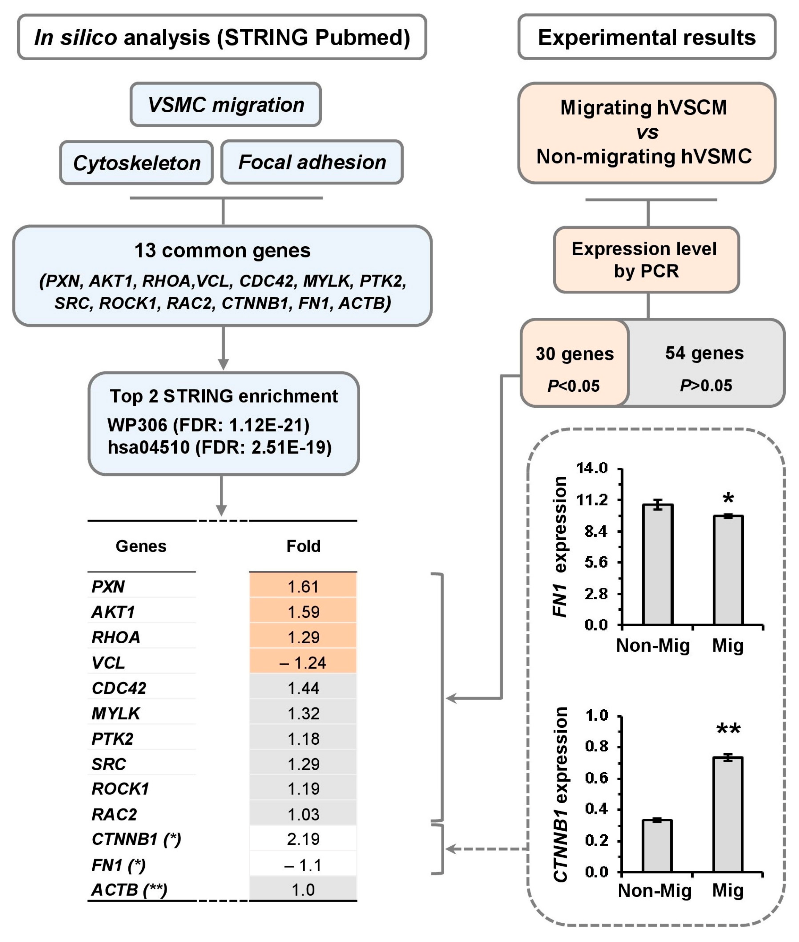 Cells 14 01245 g002 Cells 14 01245 g002