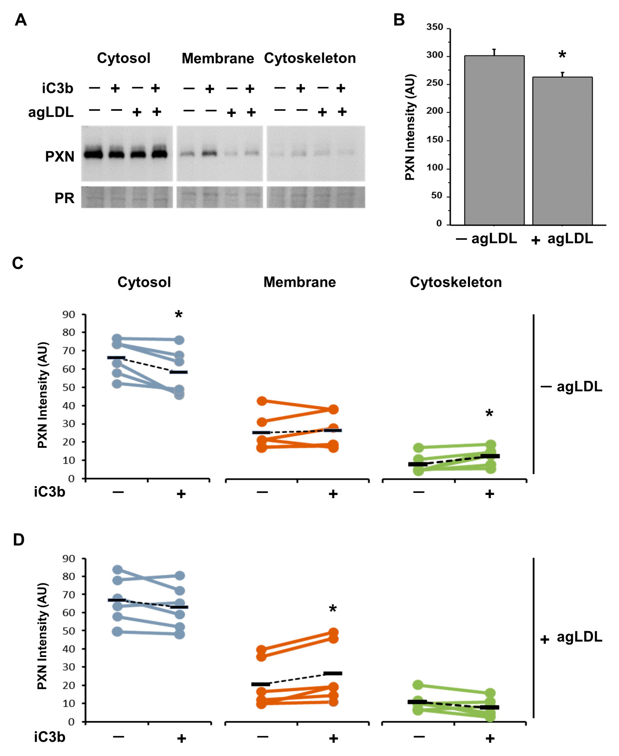 Cells 14 01245 g006 Cells 14 01245 g006