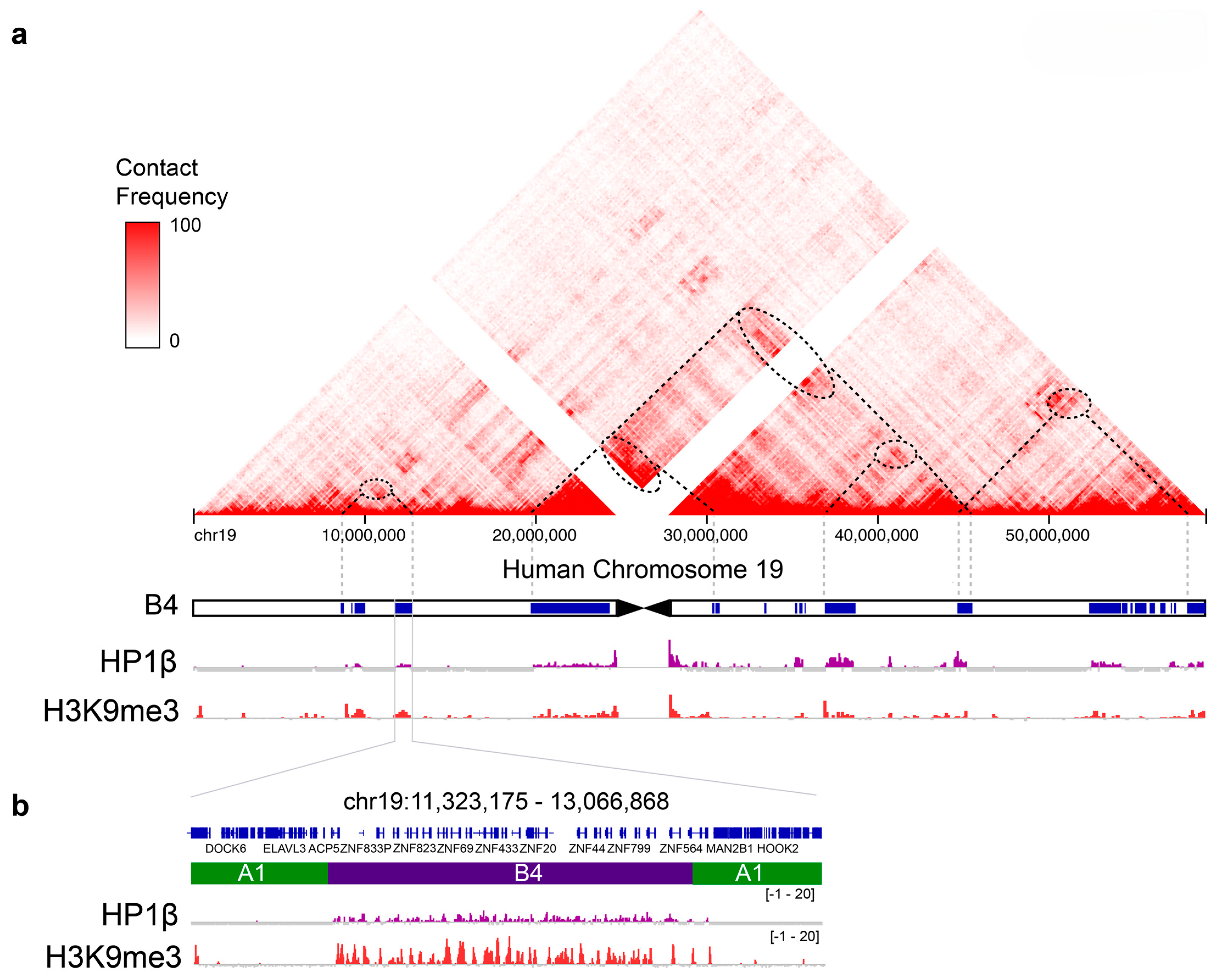 Cells 14 01249 g002 Cells 14 01249 g002