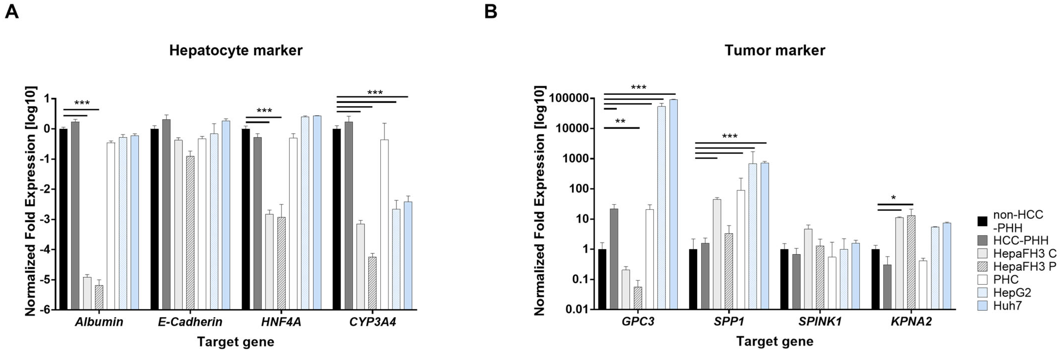 Cells 14 01254 g001 Cells 14 01254 g001
