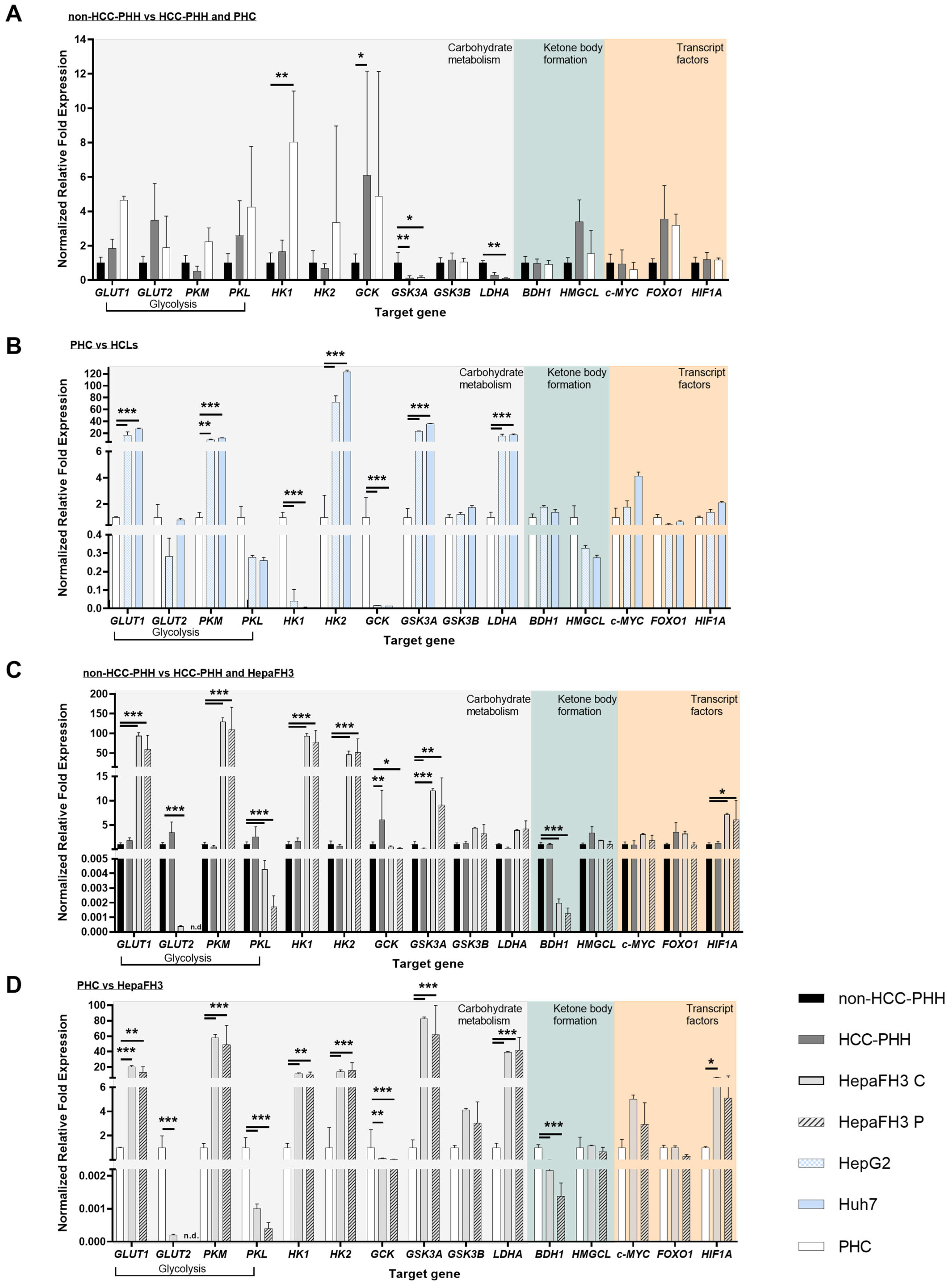 Cells 14 01254 g002 Cells 14 01254 g002