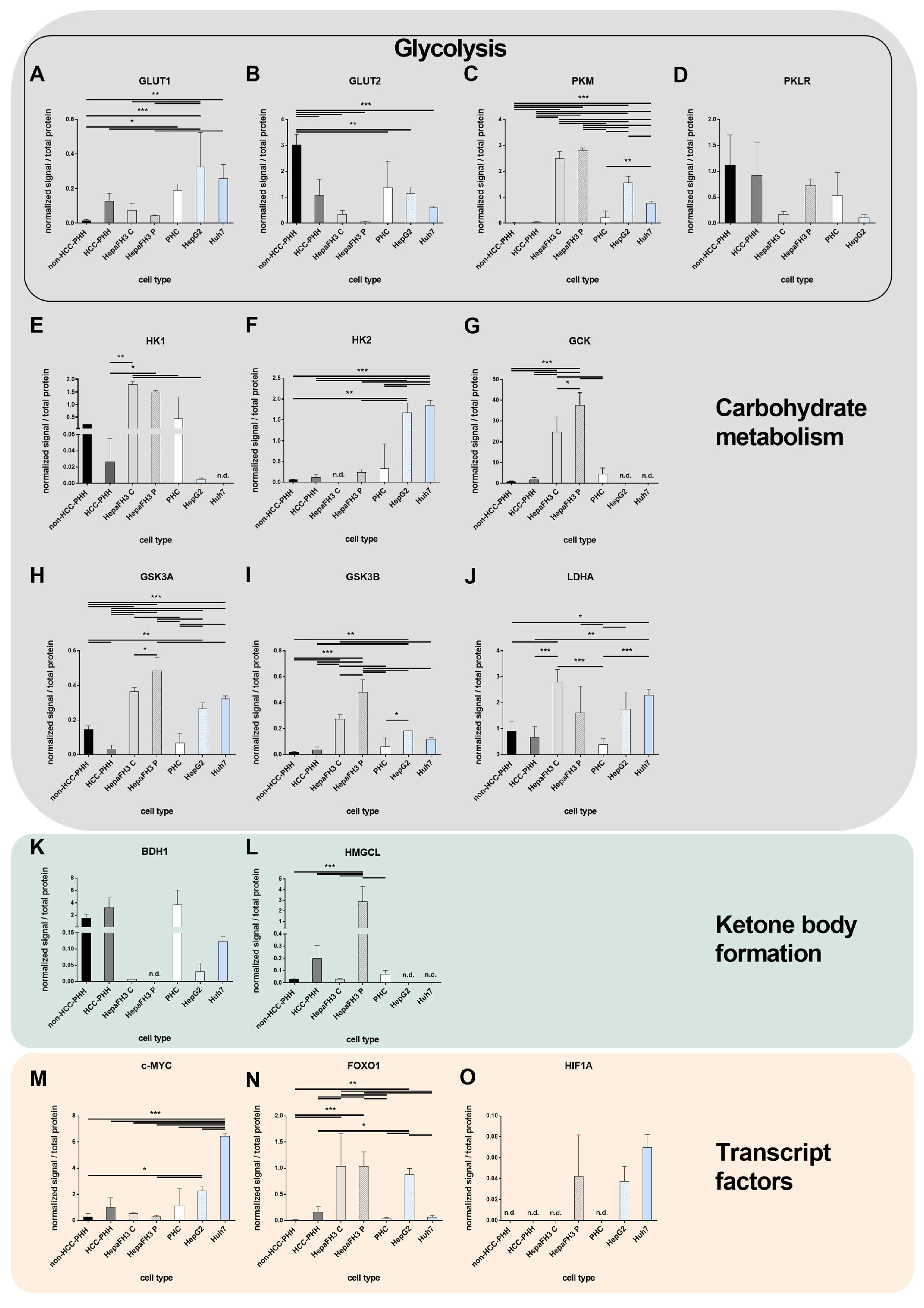 Cells 14 01254 g003 Cells 14 01254 g003