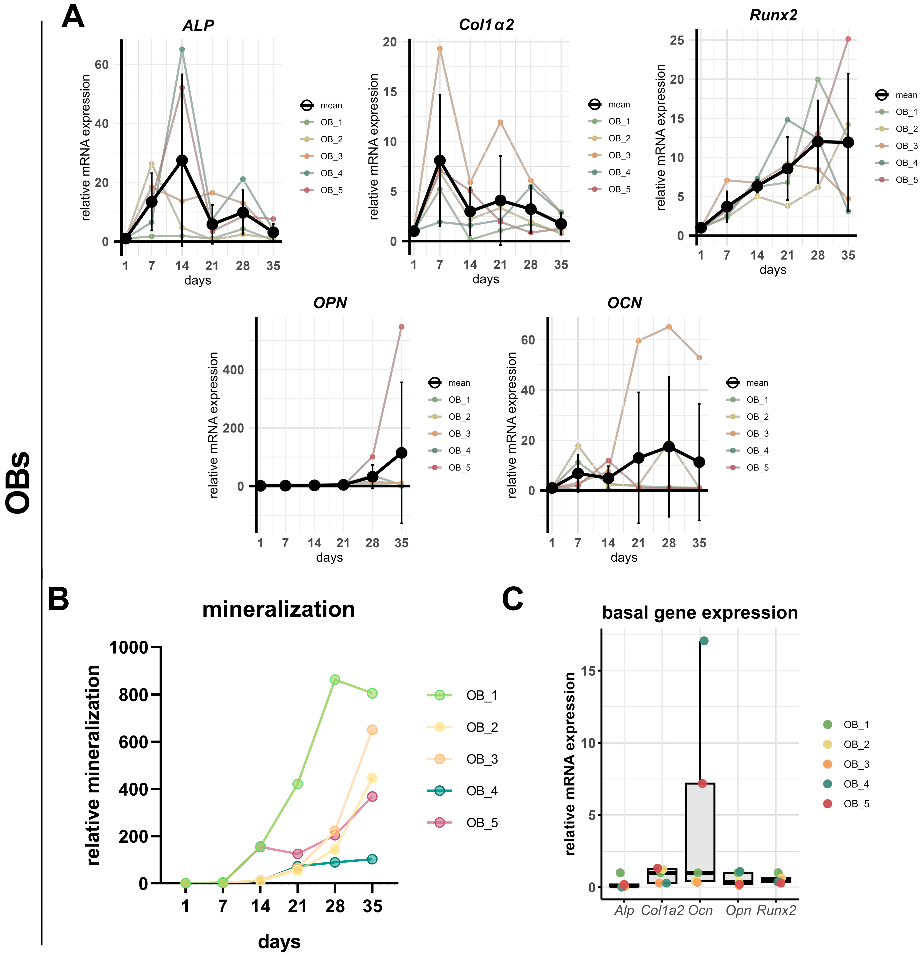 Cells 14 01264 g004 Cells 14 01264 g004