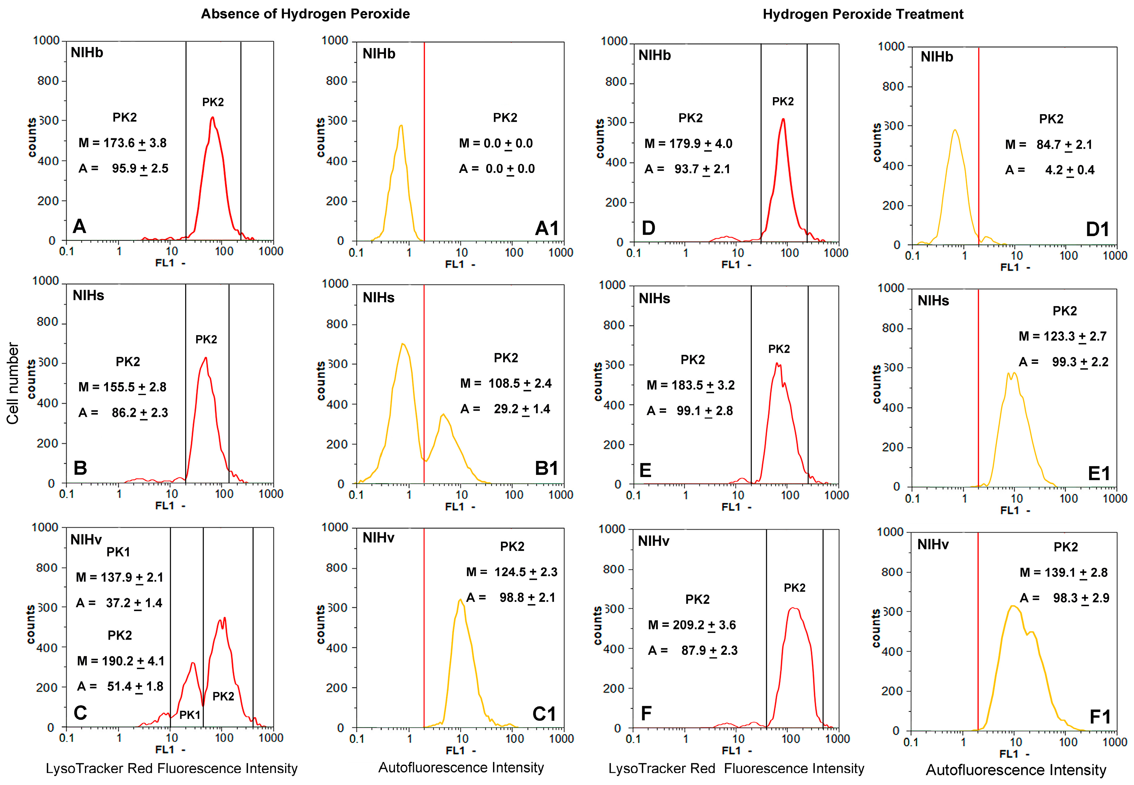Cells 14 01268 g007 Cells 14 01268 g007