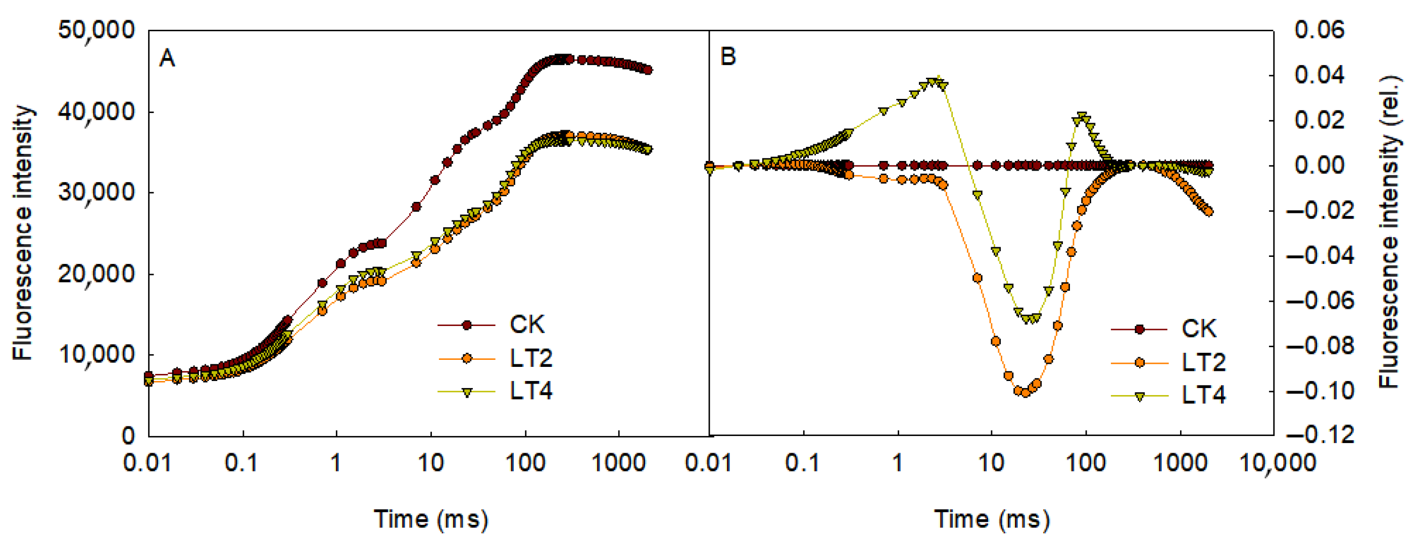 Cells 14 01275 g002 Cells 14 01275 g002
