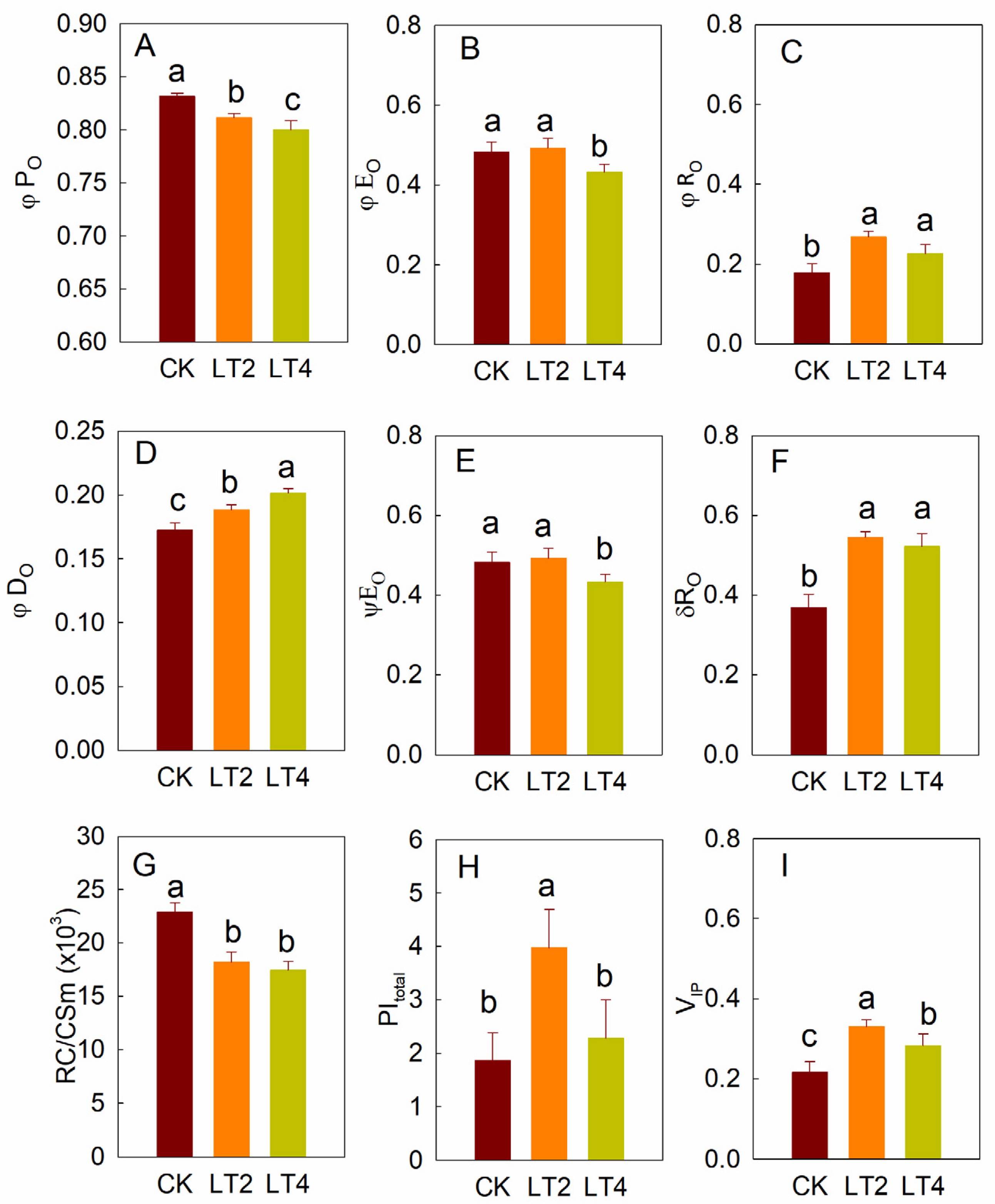 Cells 14 01275 g004 Cells 14 01275 g004