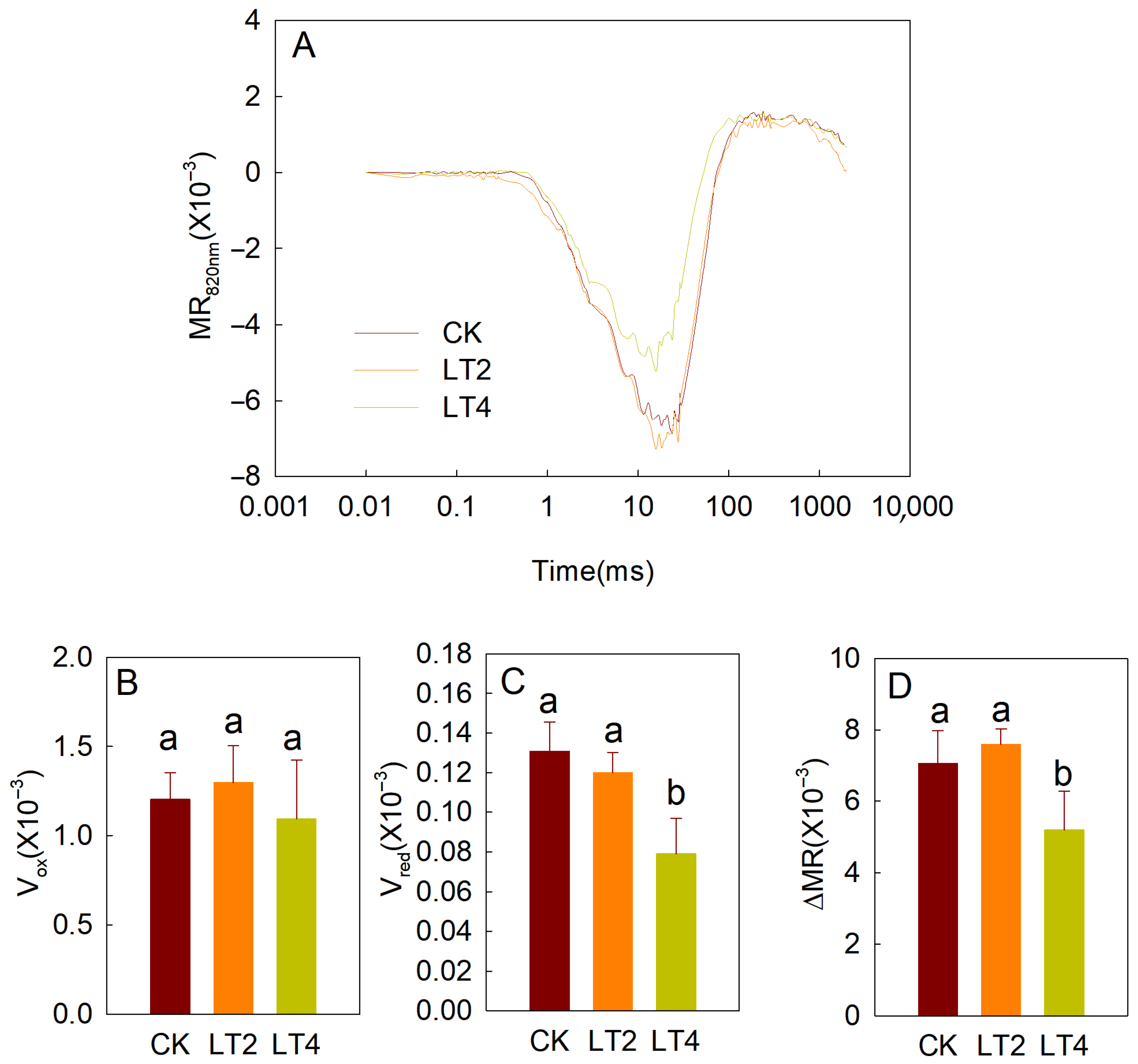 Cells 14 01275 g005 Cells 14 01275 g005