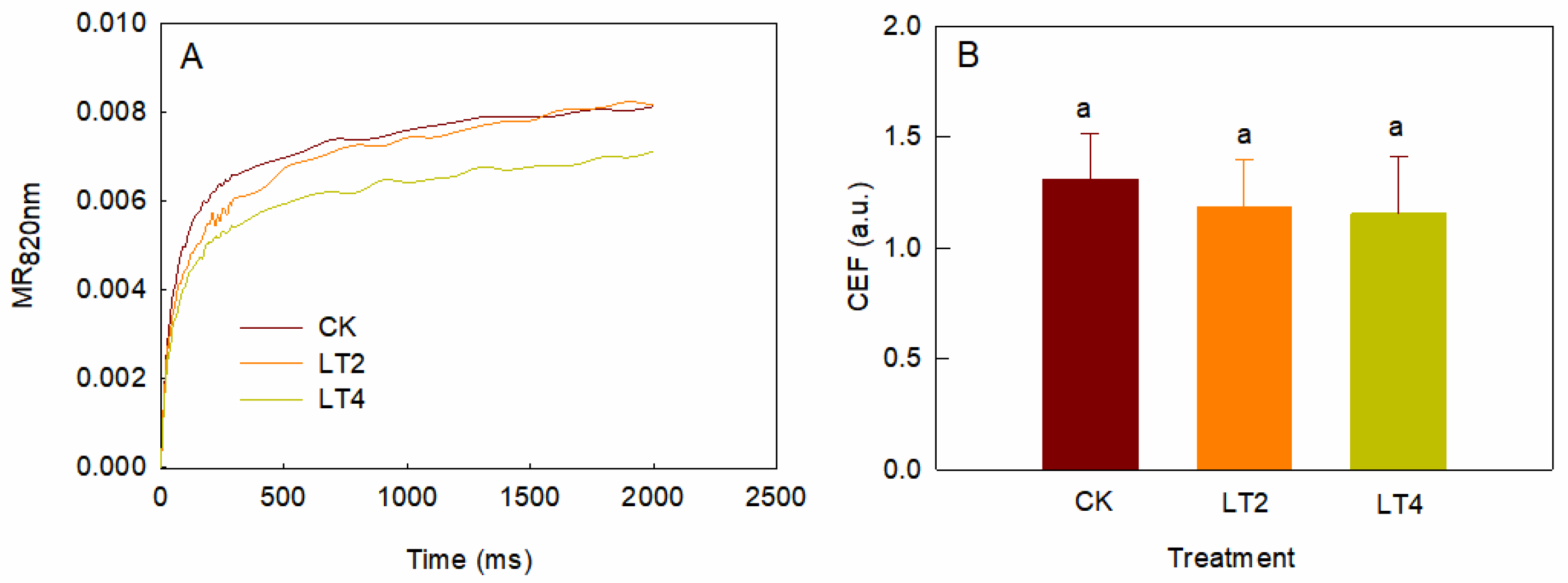 Cells 14 01275 g006 Cells 14 01275 g006