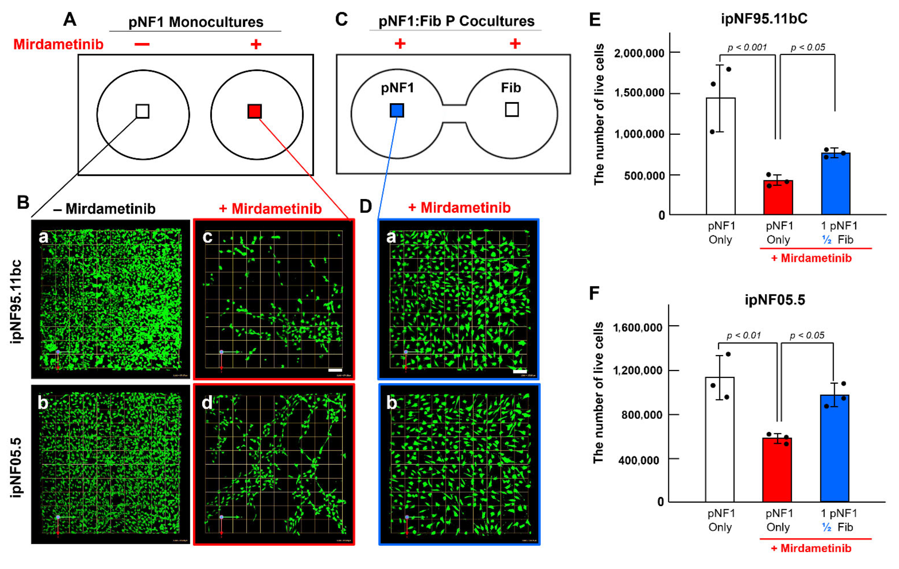 Cells 14 01276 g002 Cells 14 01276 g002