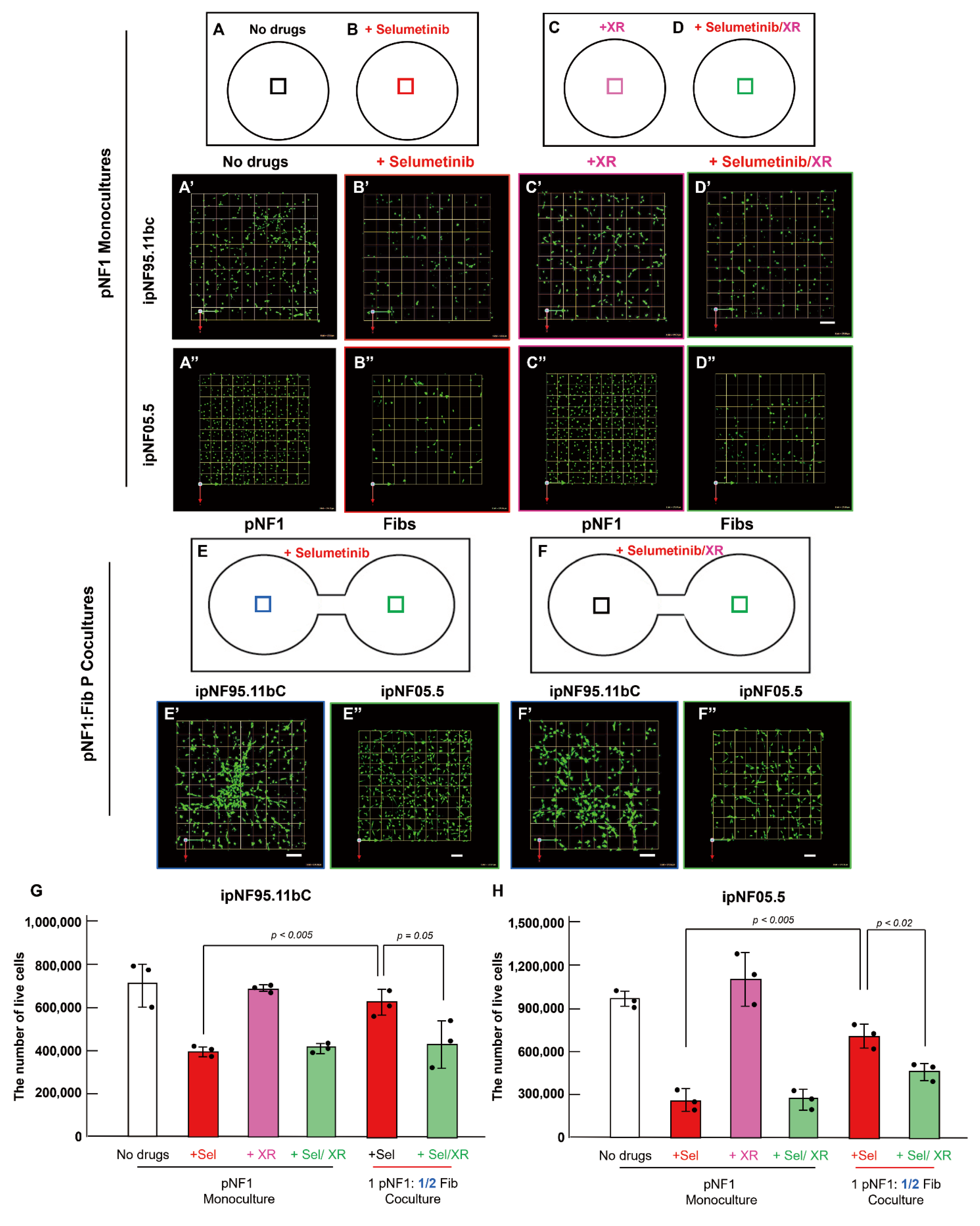 Cells 14 01276 g005 Cells 14 01276 g005
