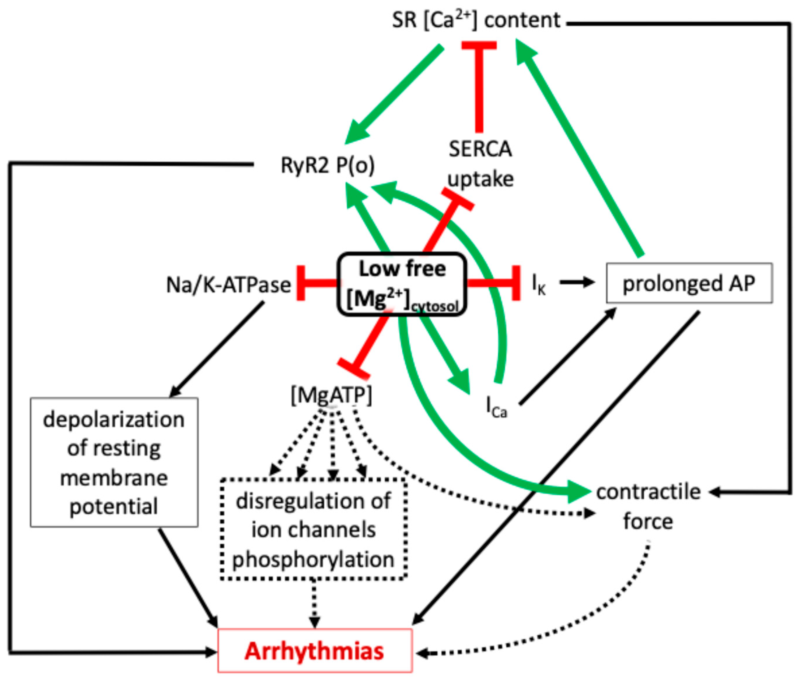 Cells 14 01280 g003 Cells 14 01280 g003