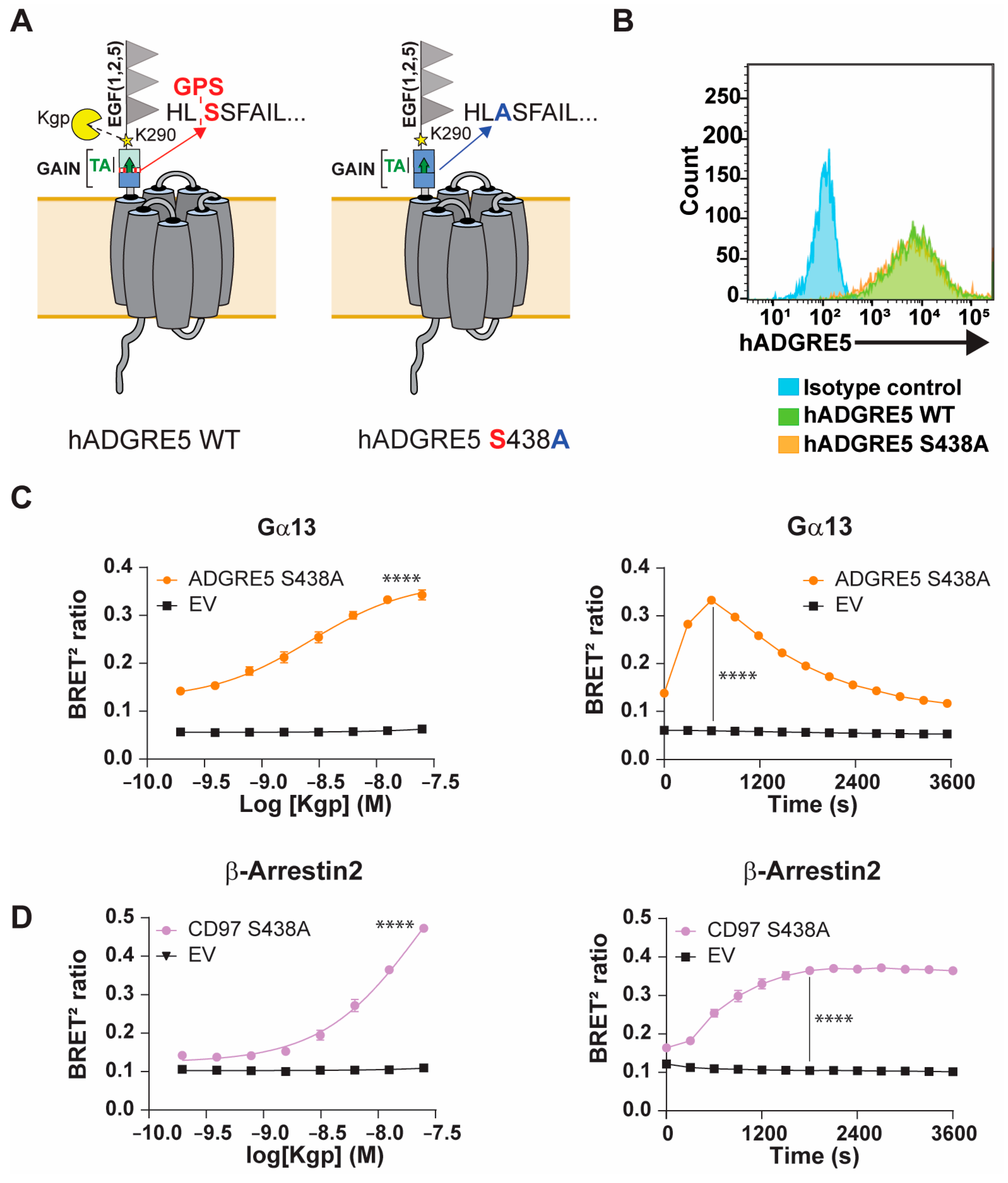 Cells 14 01284 g003 Cells 14 01284 g003