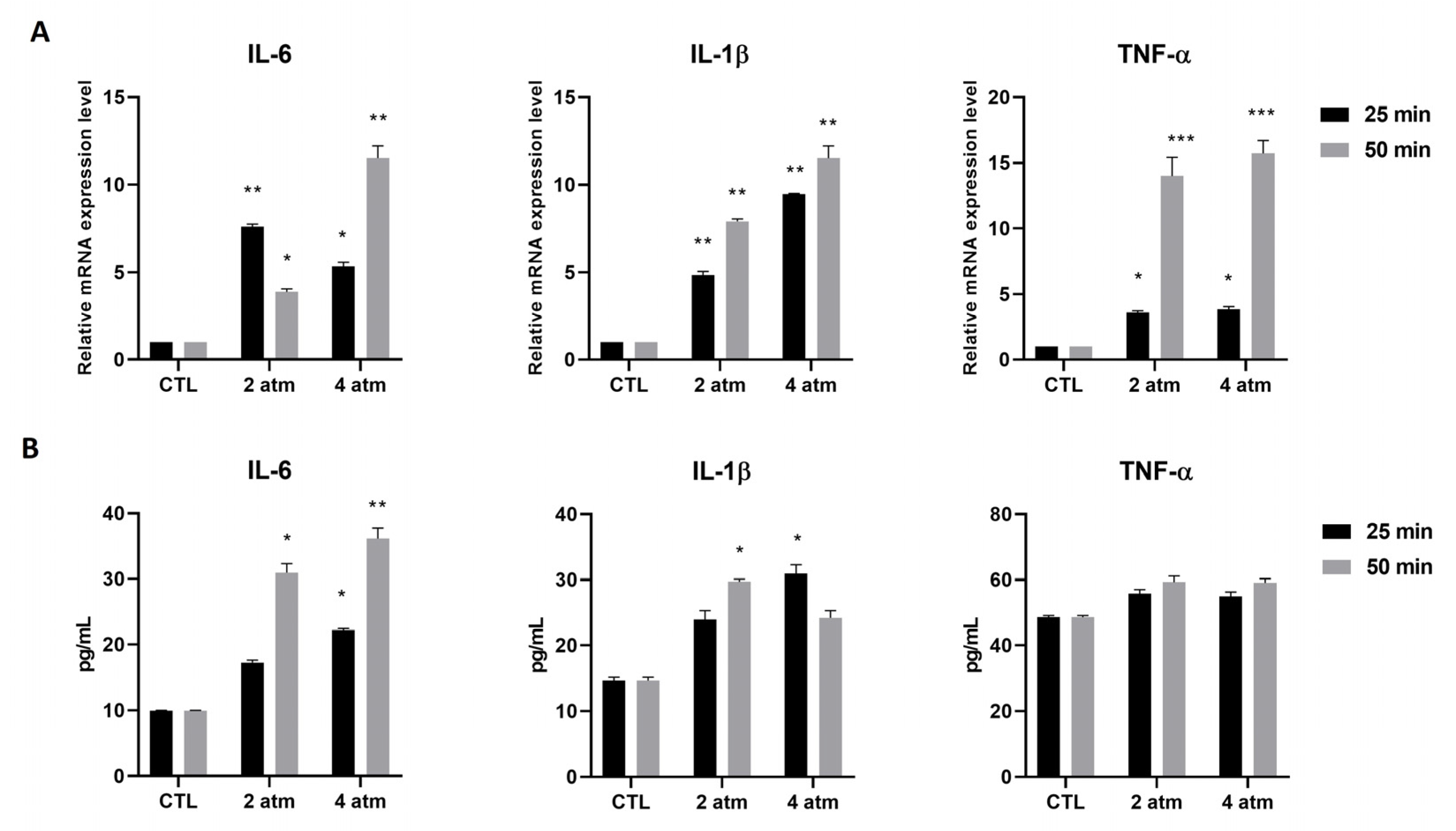 Cells 14 01287 g002 Cells 14 01287 g002