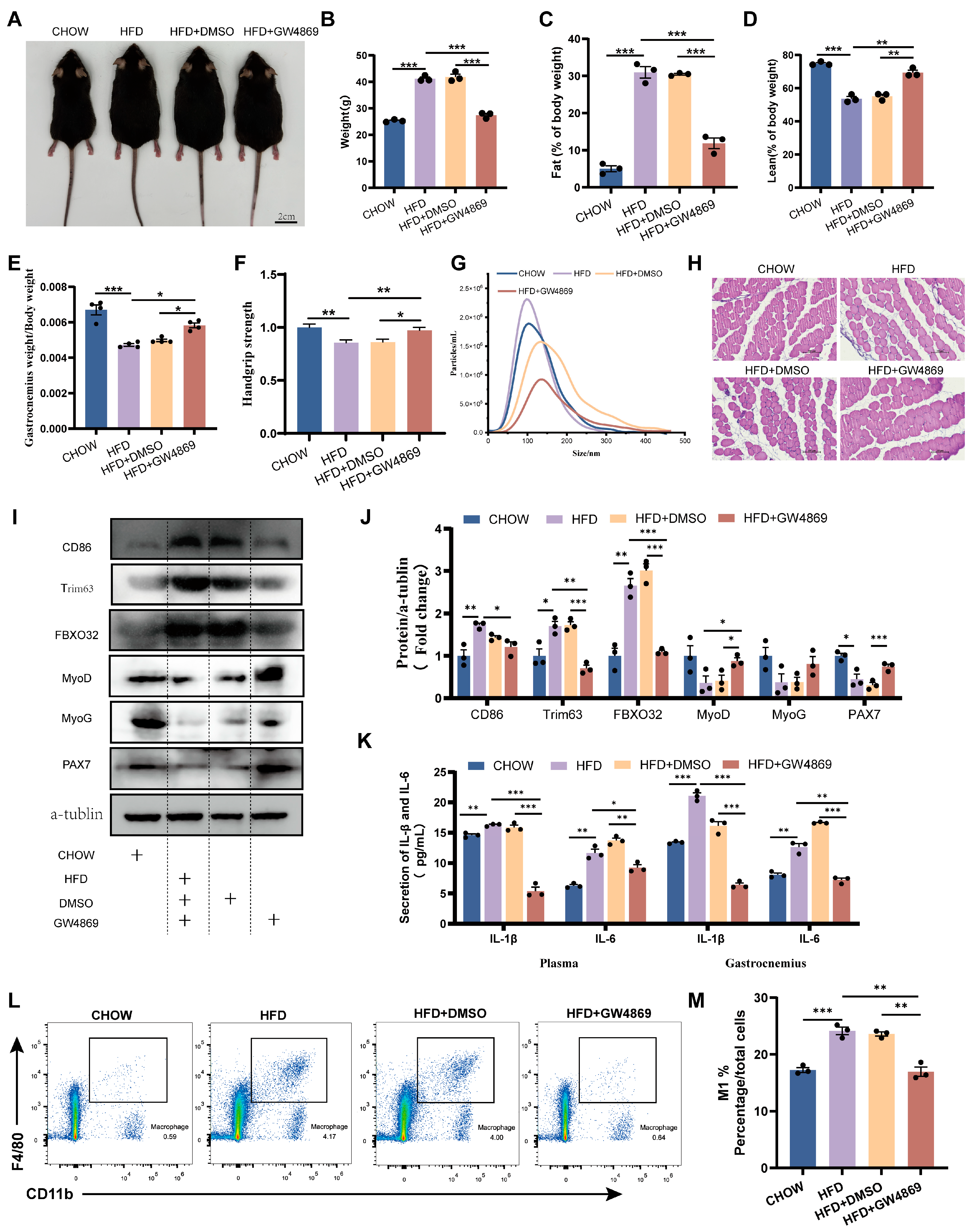 Cells 14 01302 g003 Cells 14 01302 g003