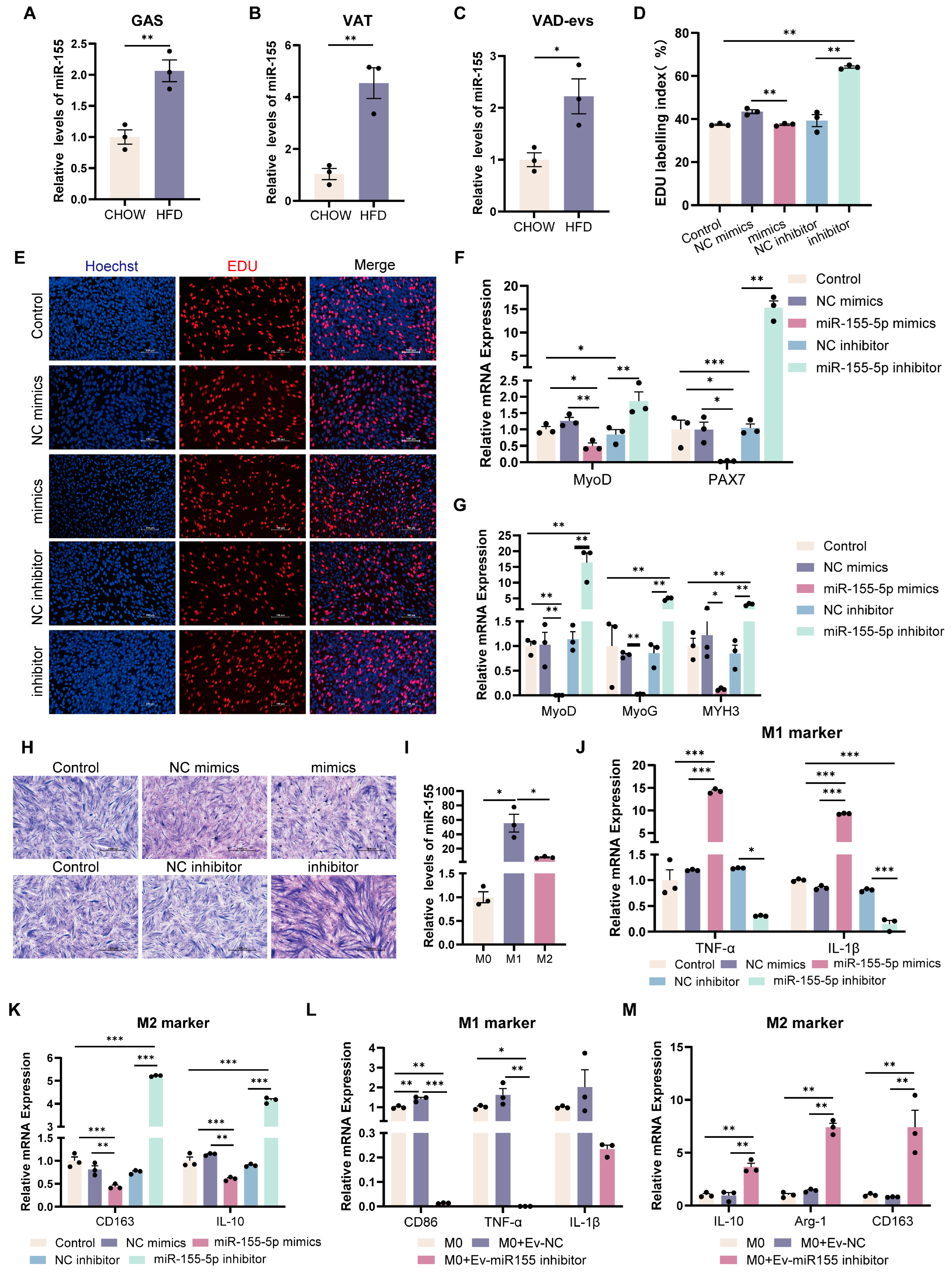Cells 14 01302 g004 Cells 14 01302 g004